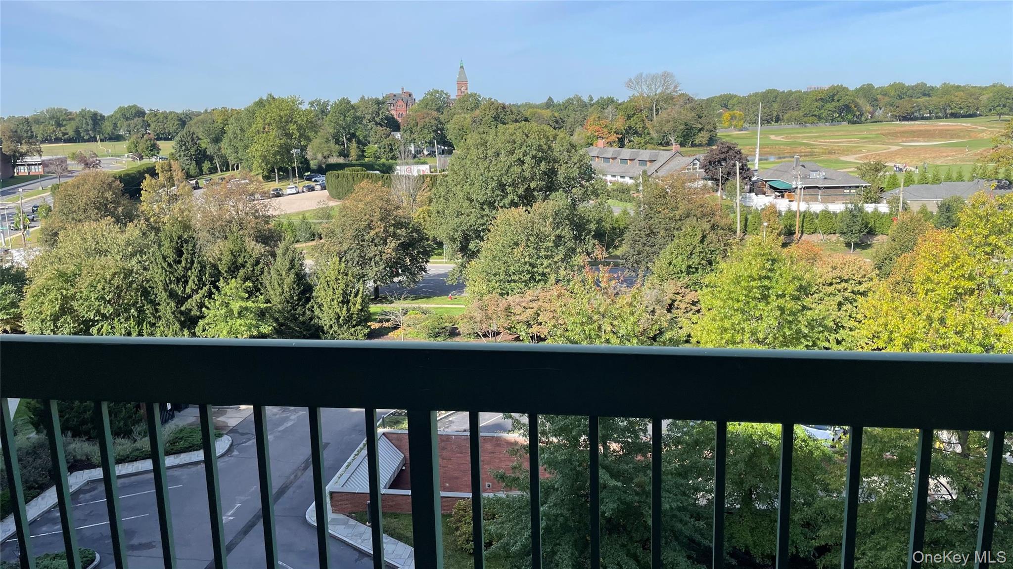 111 Cherry Valley Avenue, Unit 702 W photo 9