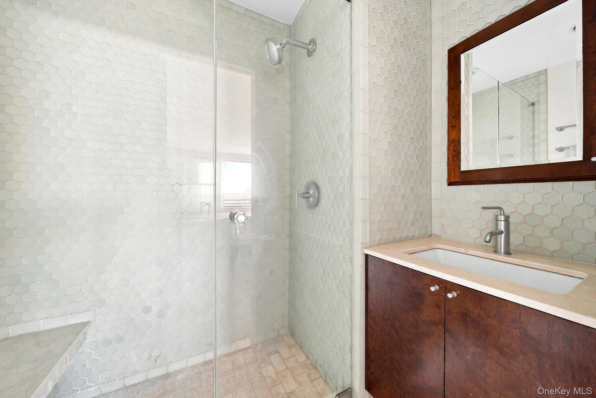 333 E Broadway, Unit 2D photo 16