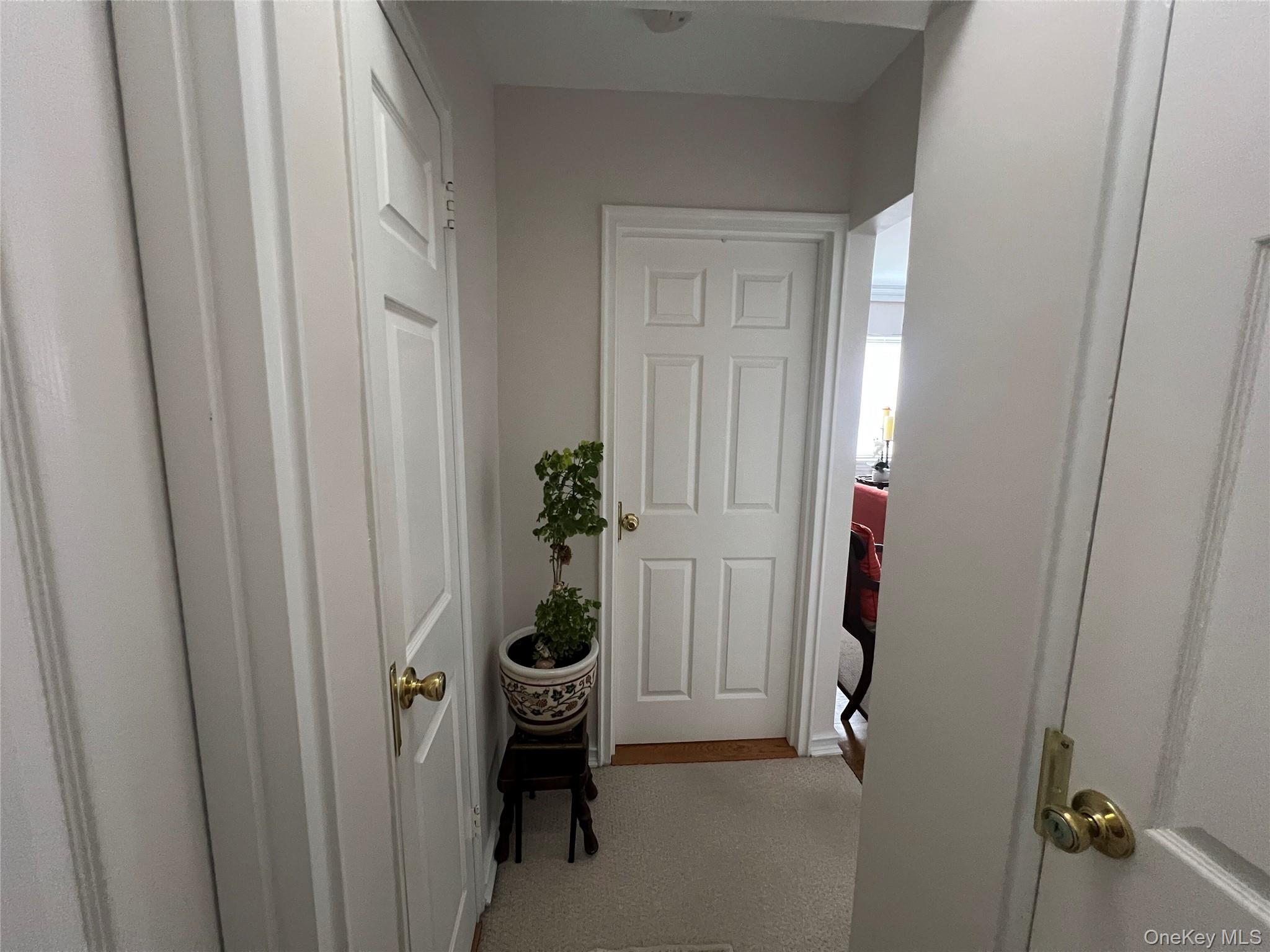 216-05 48th Avenue, Unit 2C photo 11