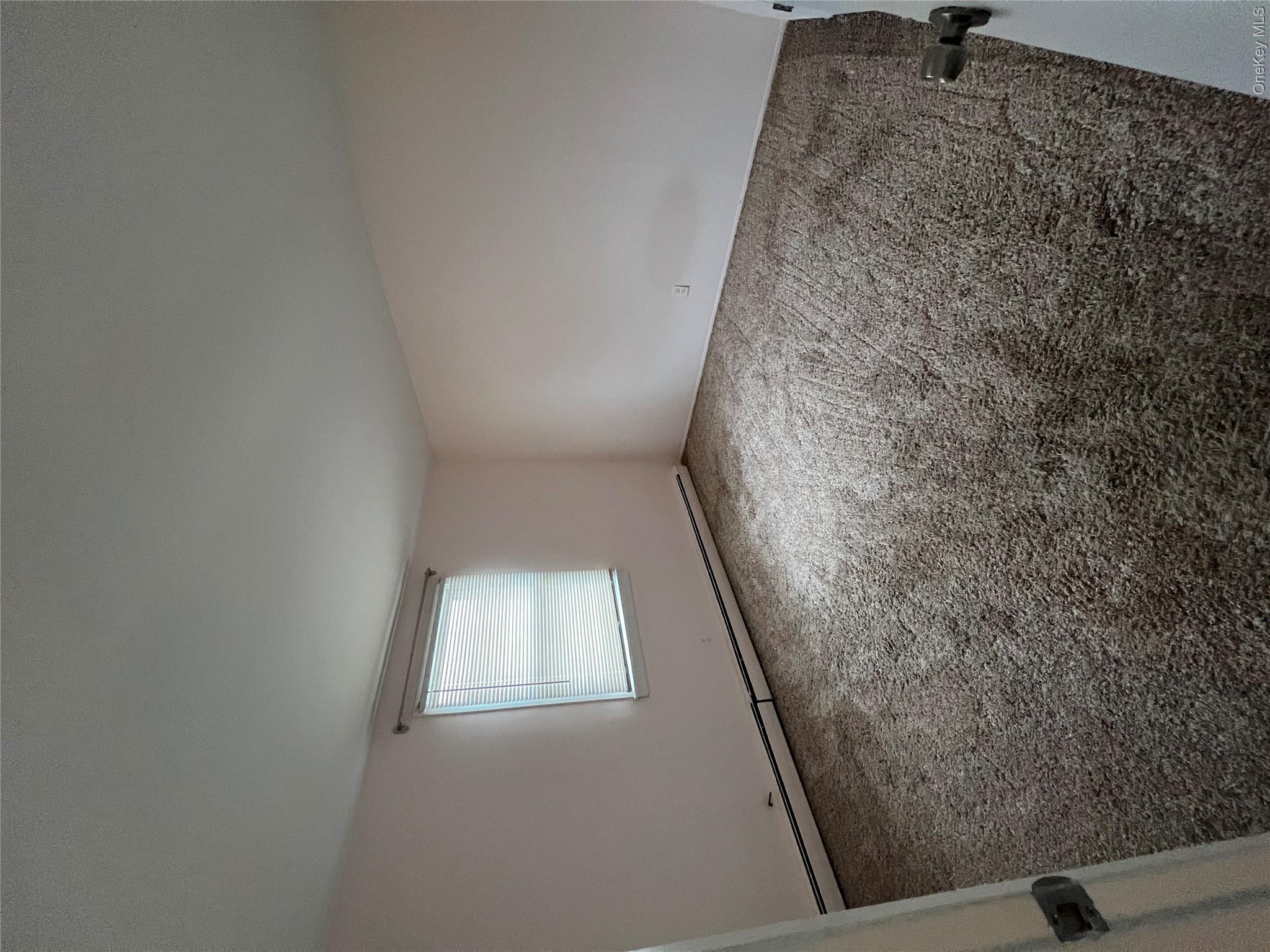 32 Halycon Road – For Rent photo 5