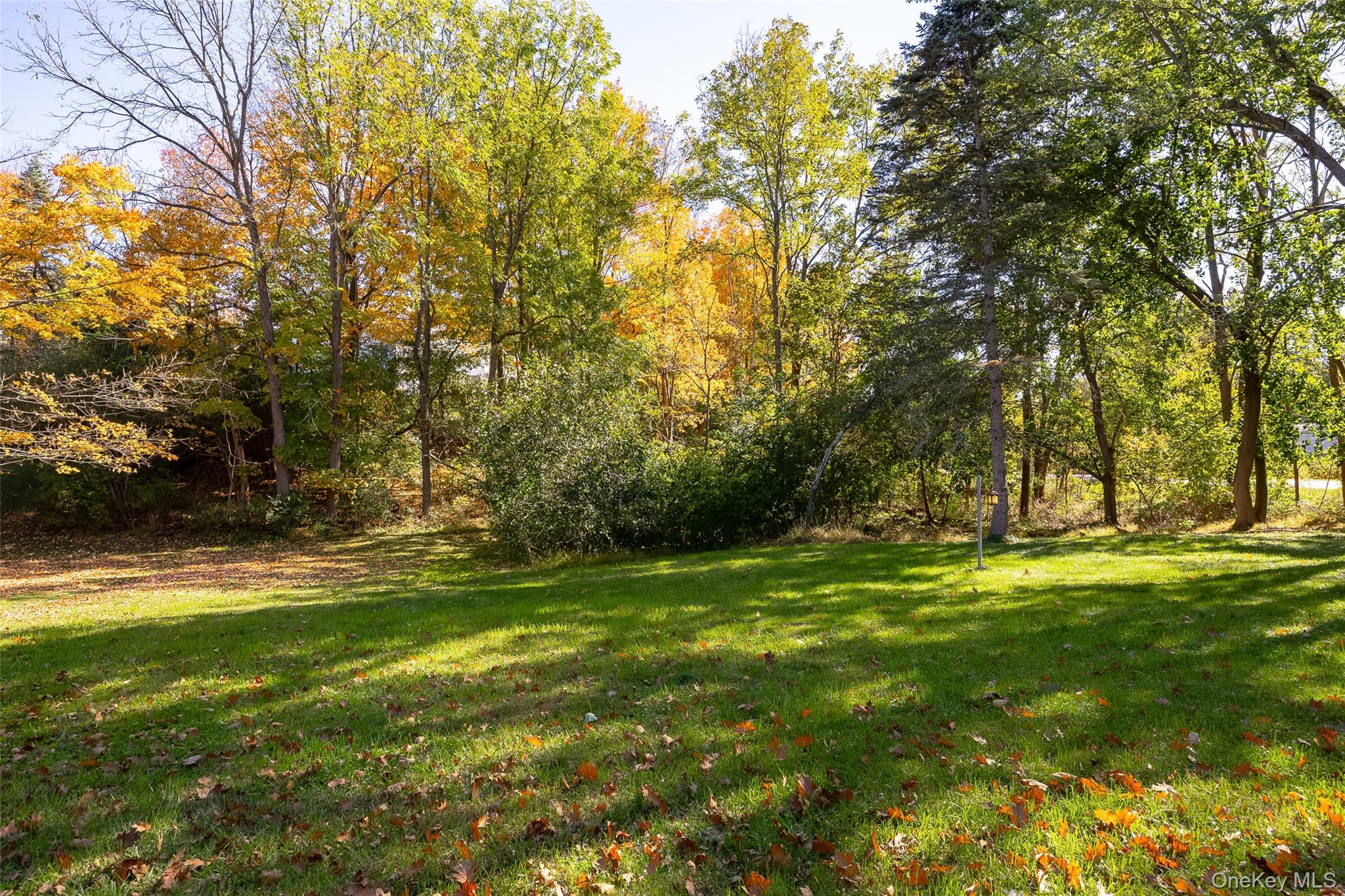 2 Pye Lane – For Sale photo 3