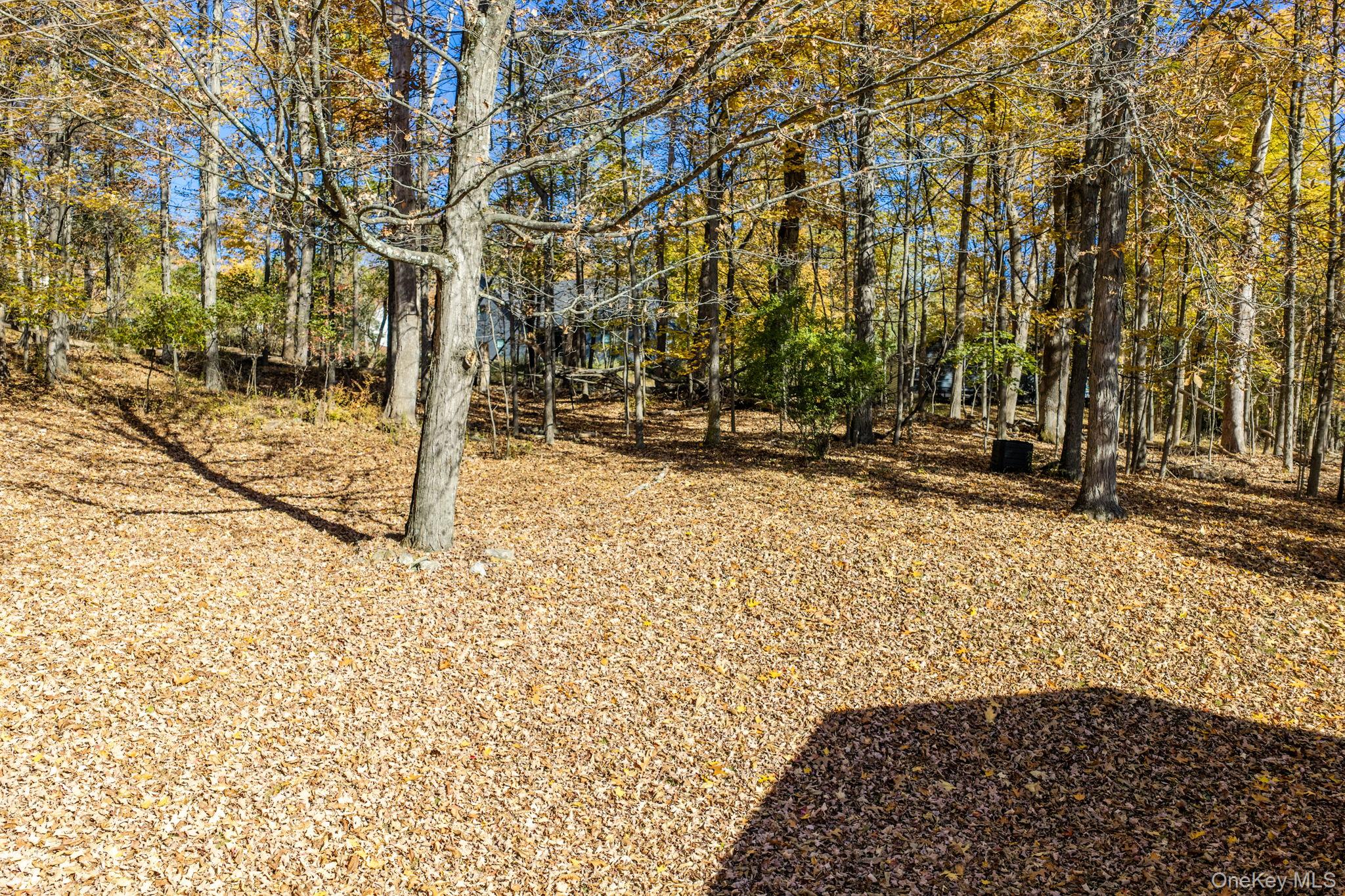 89 Pickles Road – For Sale photo 30