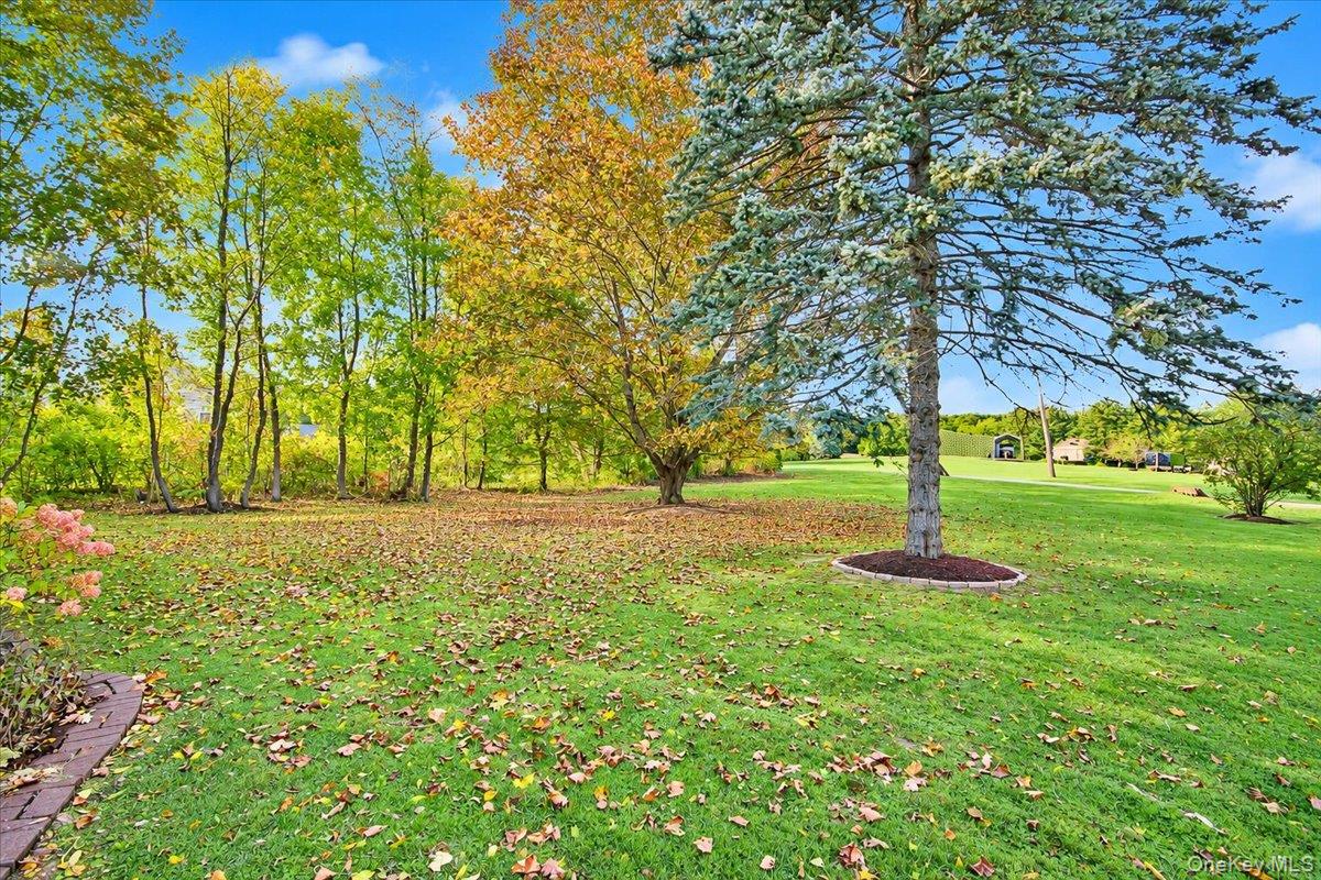 70 Folan Road – For Sale photo 5