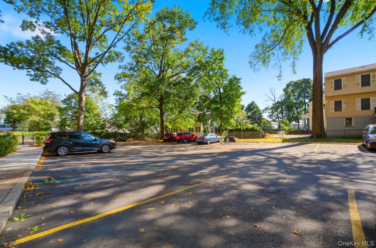 70 Locust Avenue, Unit 103B photo 20