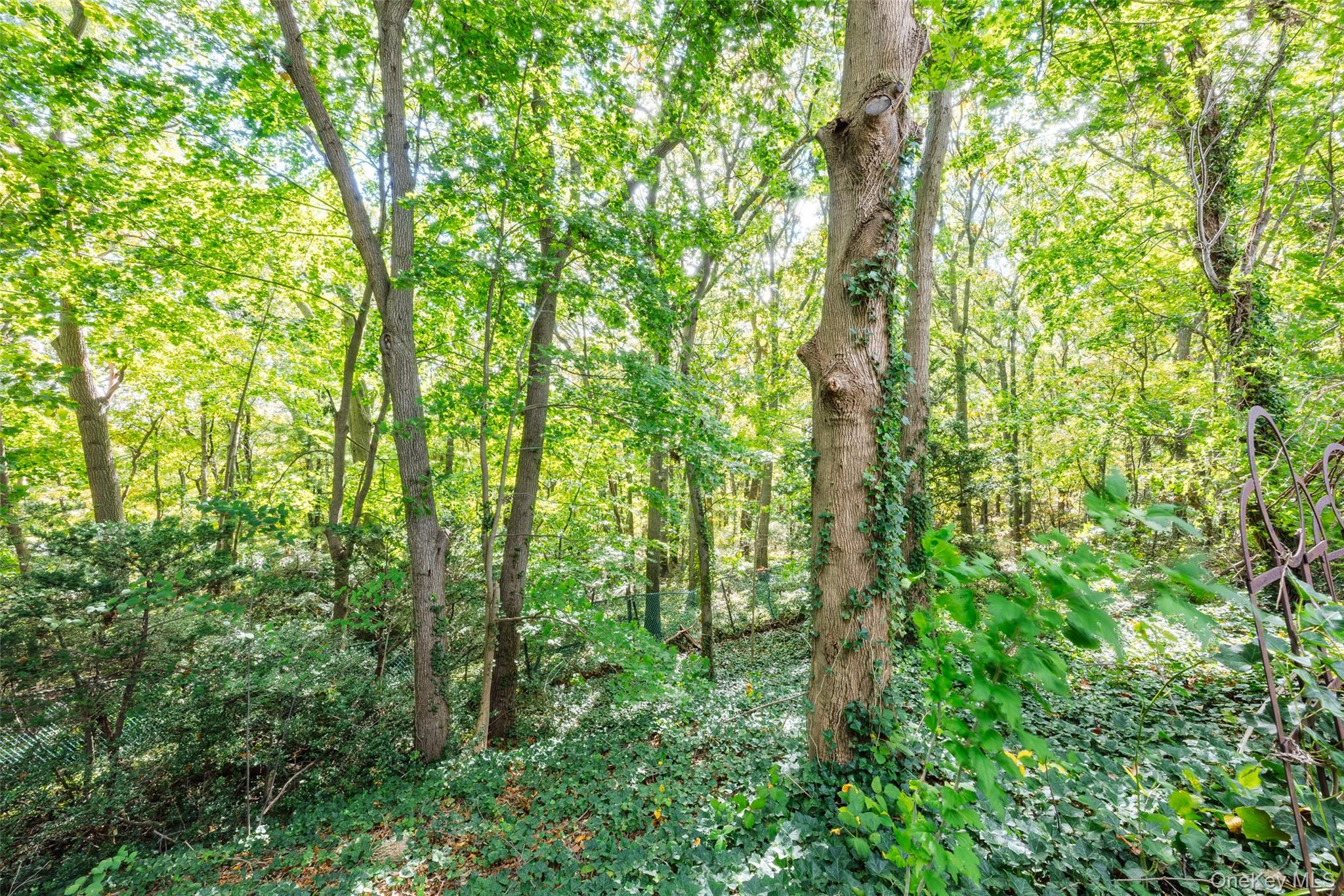 24 Gerald Lane – For Sale photo 27