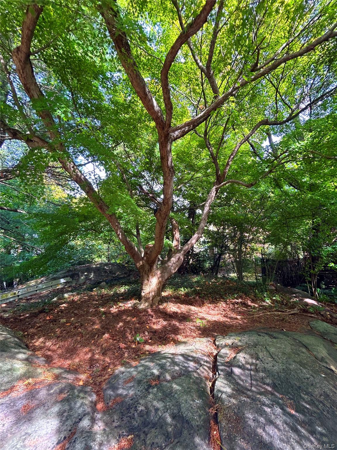 34 Chestnut Drive – For Sale photo 7