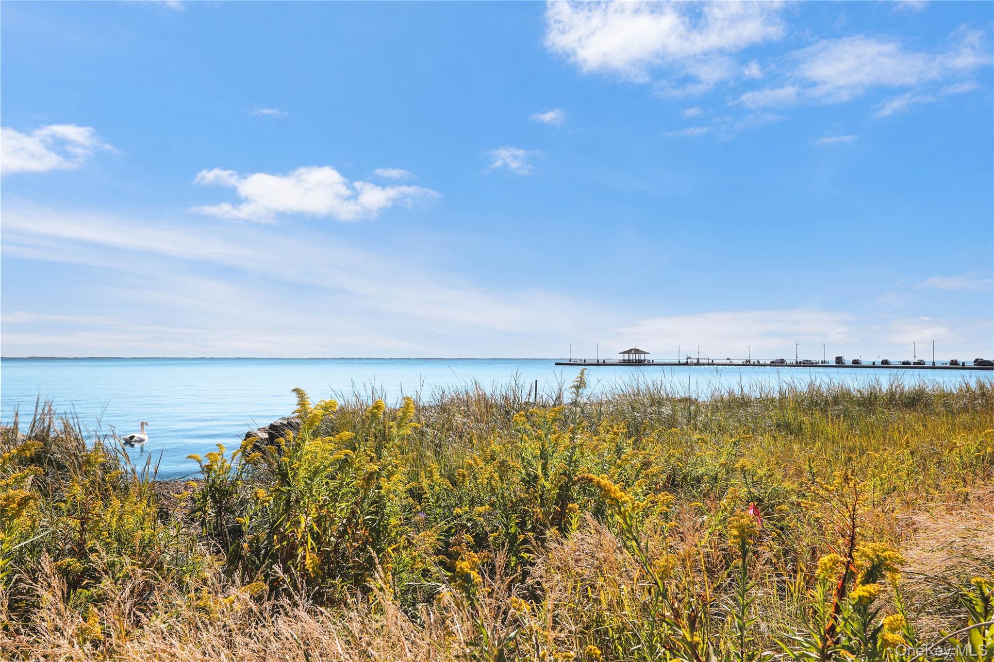 370 Rider Avenue – For Sale photo 38