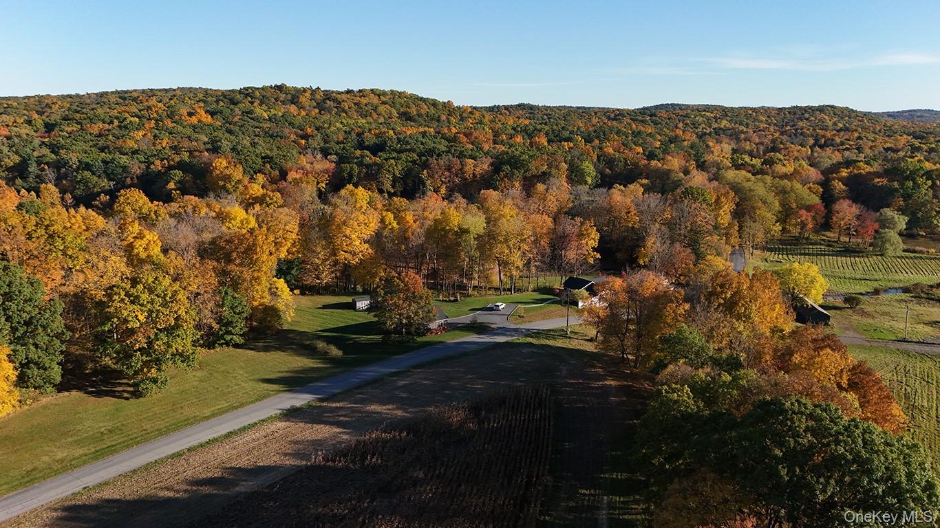 177 White Schoolhouse Road – For Sale photo 2