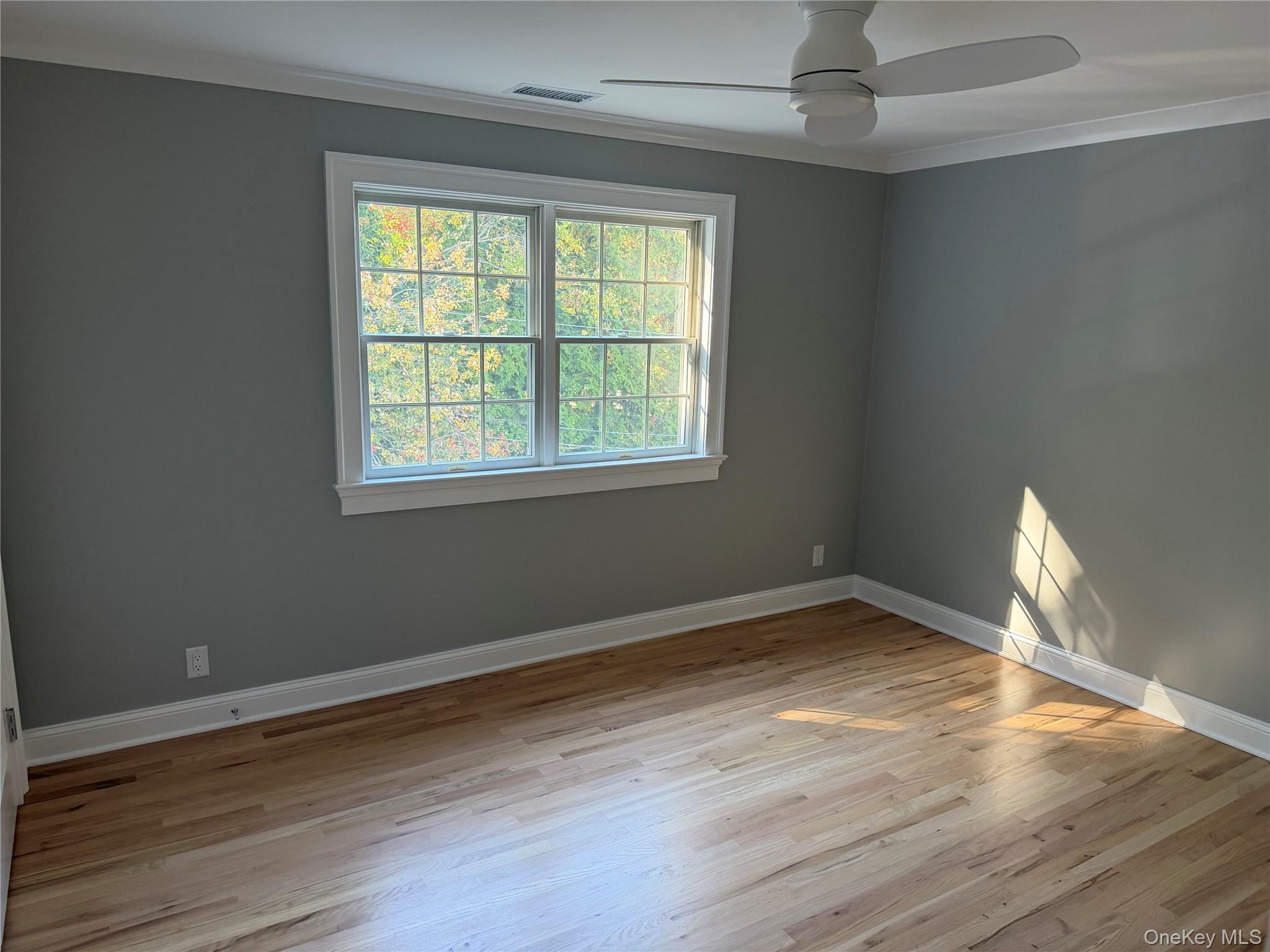 39 Clifford Place, Unit 39 photo 16