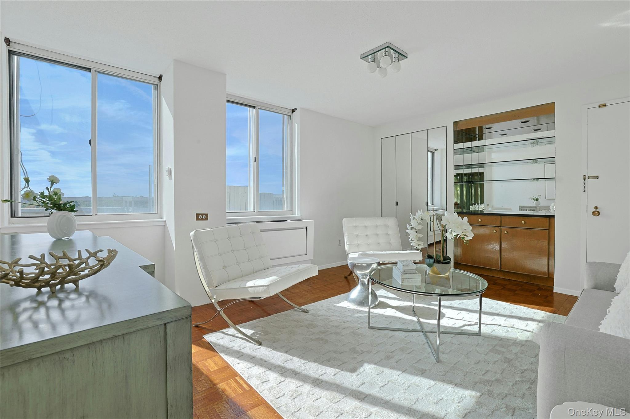 1270 North Avenue, Unit 5L 6L photo 12