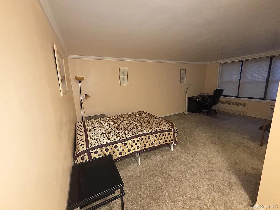 1275 E 51st 51 Street, Unit 4M photo 2