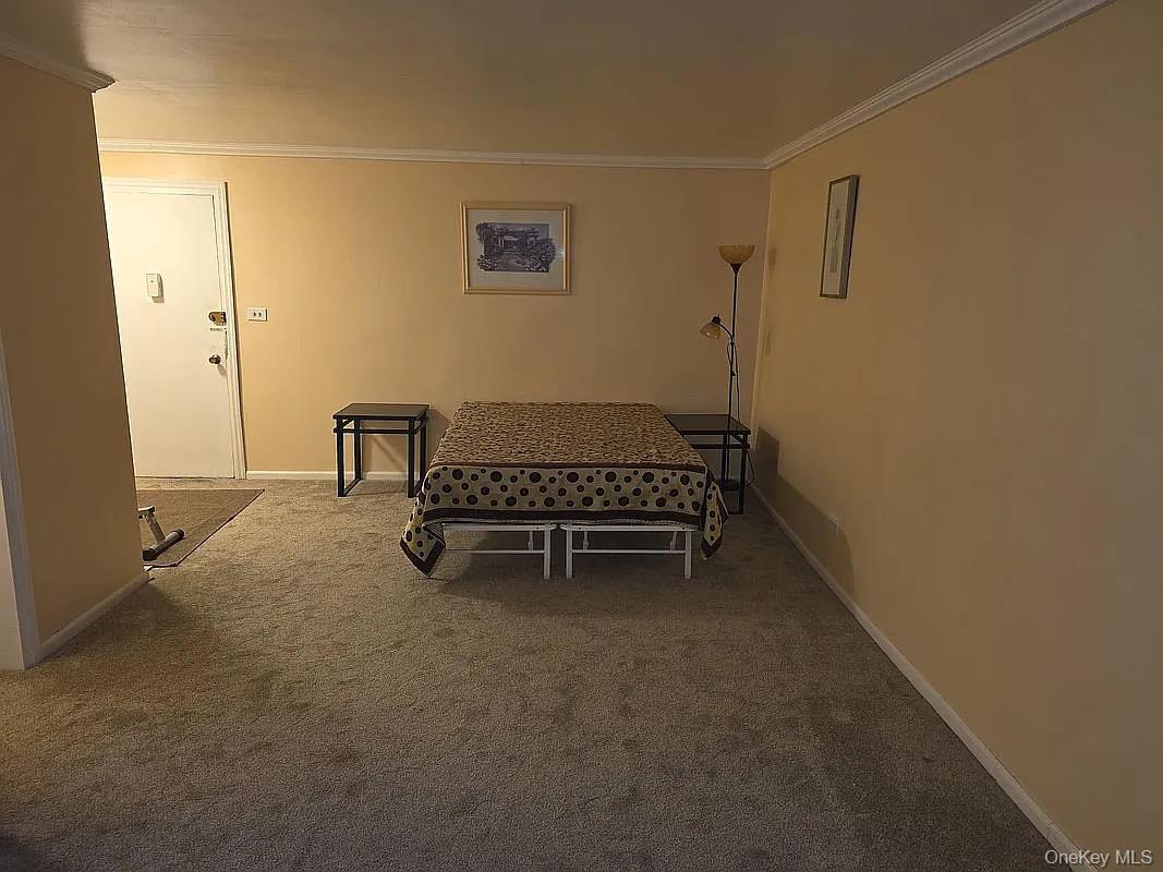 1275 E 51st 51 Street, Unit 4M photo 7