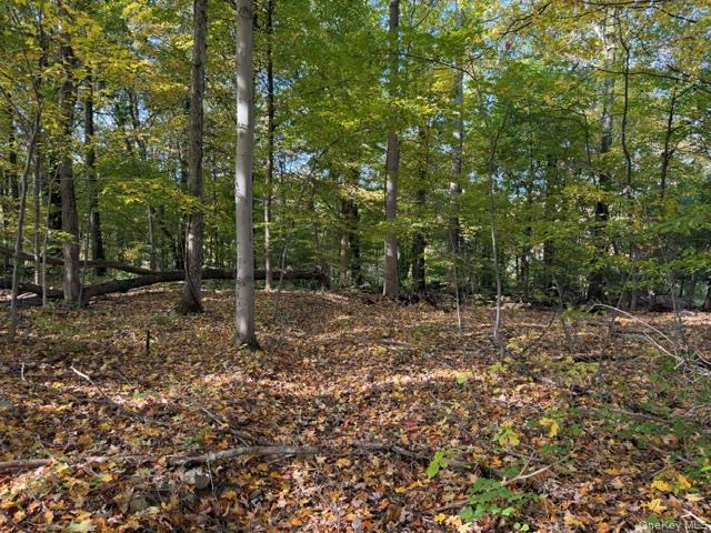 Lot 4 Three Point Place – For Sale photo 4