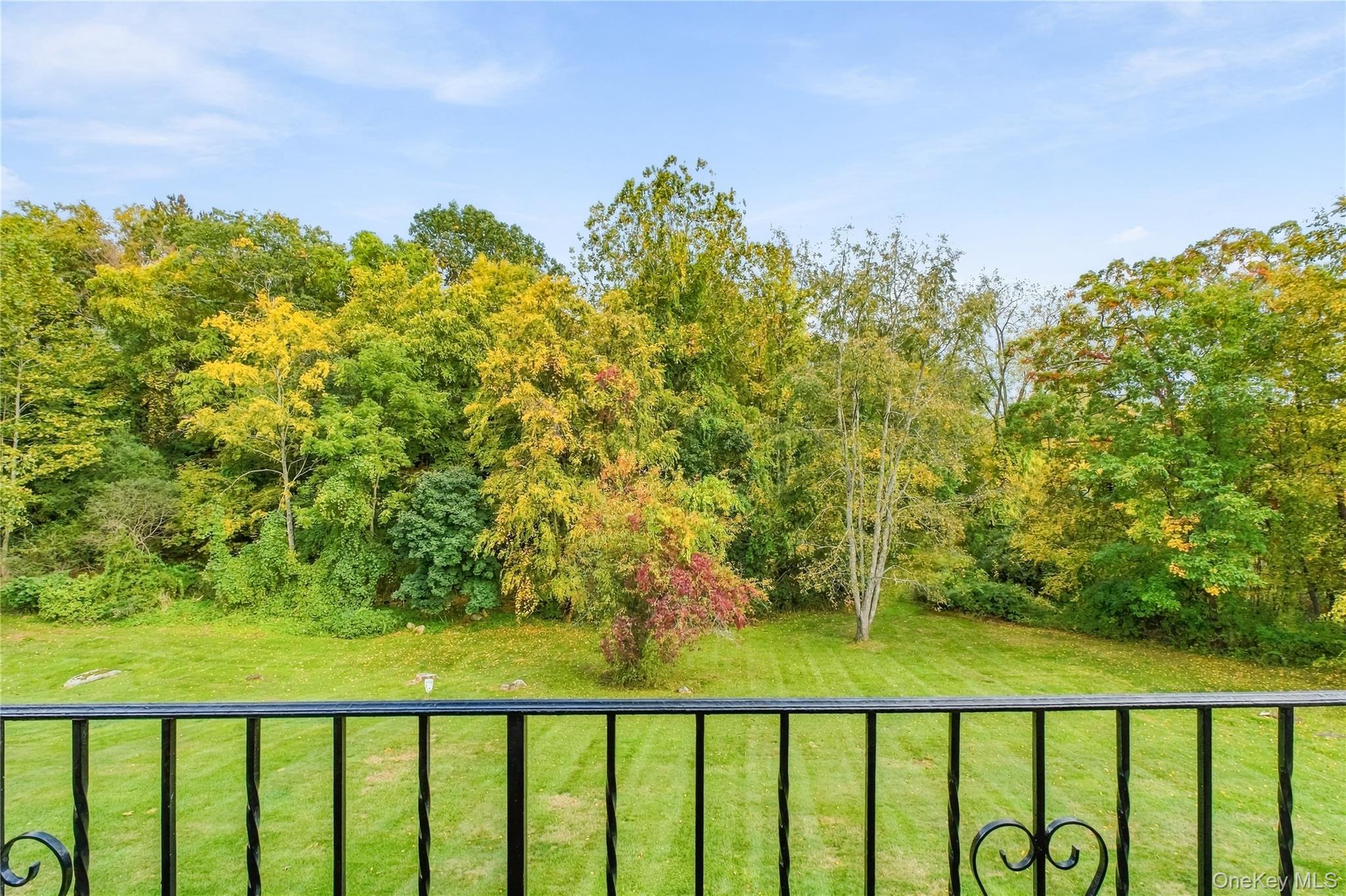 317 Fox Run Lane, Unit Unit #317 photo 14