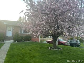 8 Mark Street – For Sale photo 26