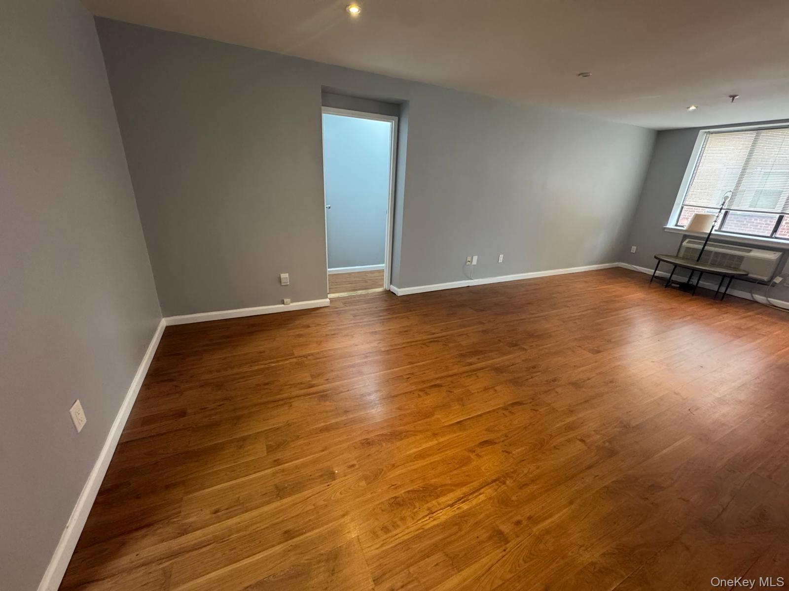 10 Canterbury Road, Unit 1B photo 21