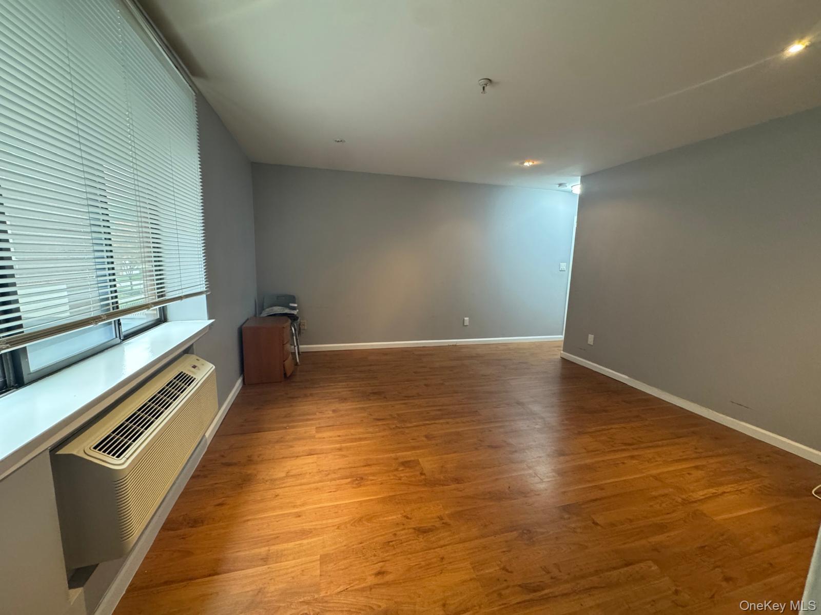 10 Canterbury Road, Unit 1B photo 13