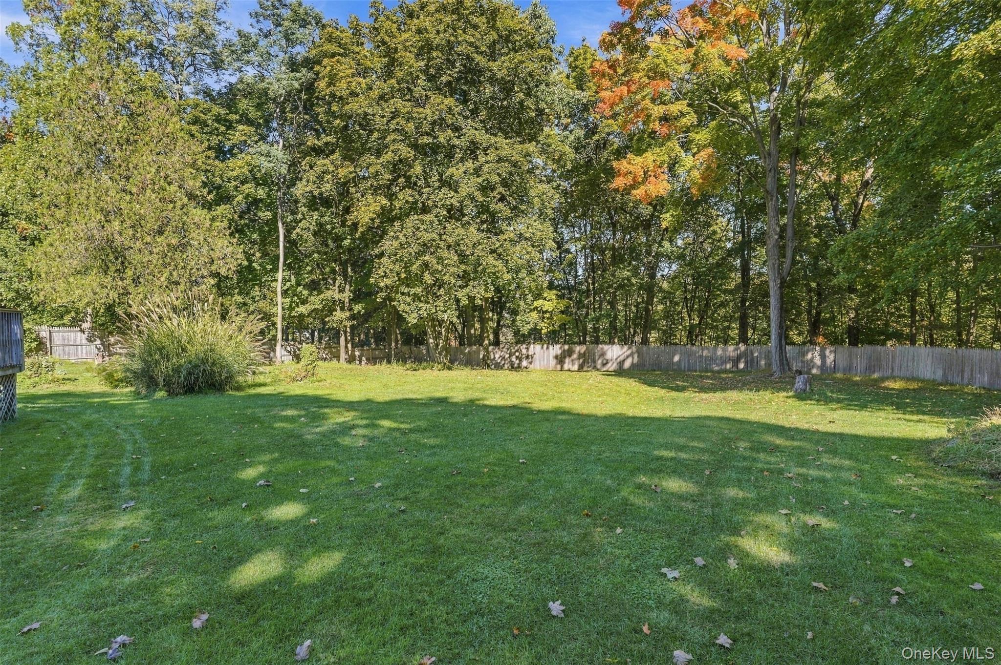 49 Weeks Avenue – For Sale photo 47