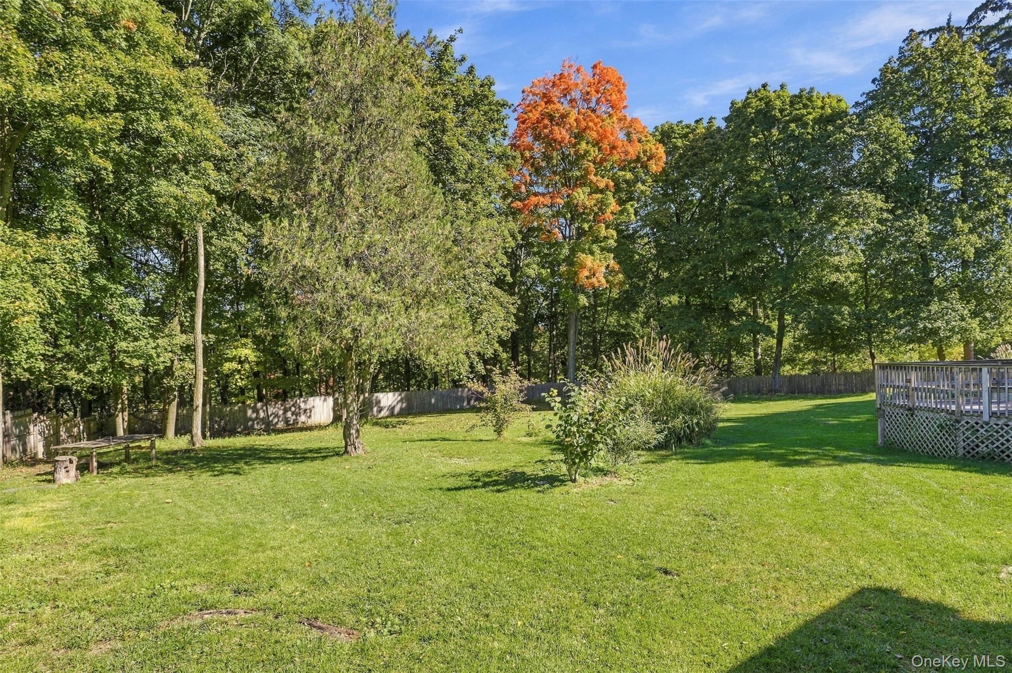49 Weeks Avenue – For Sale photo 48