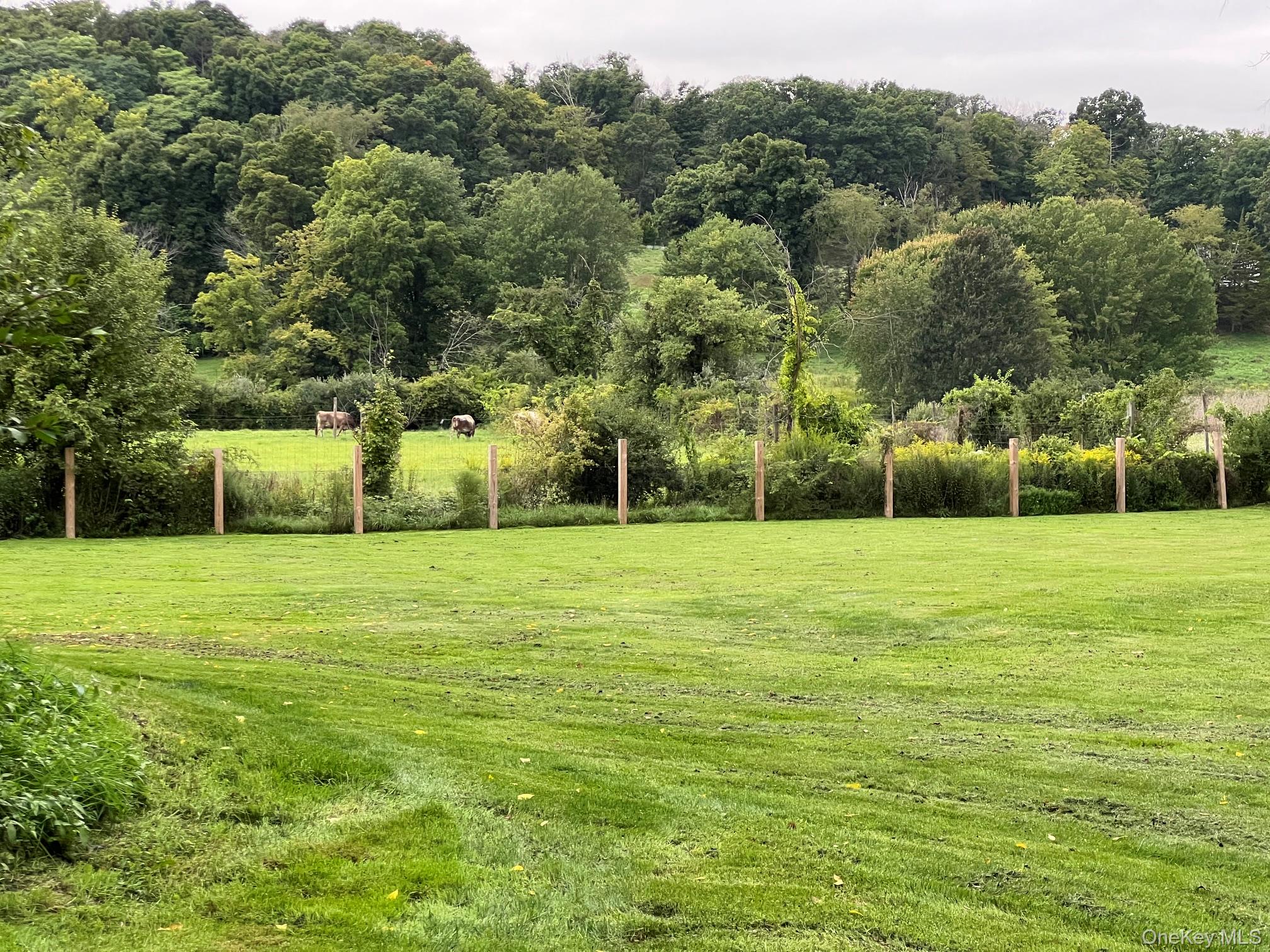 541 Verbank Road – For Rent photo 4