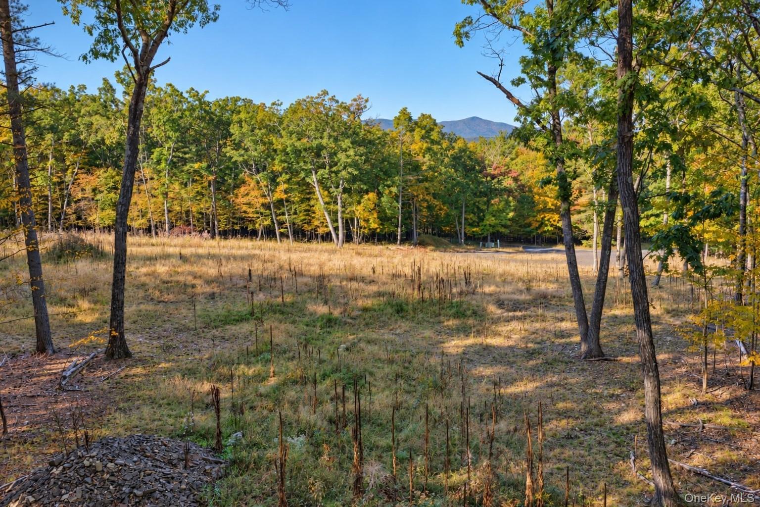 11 Rock Hill Road – For Sale photo 11