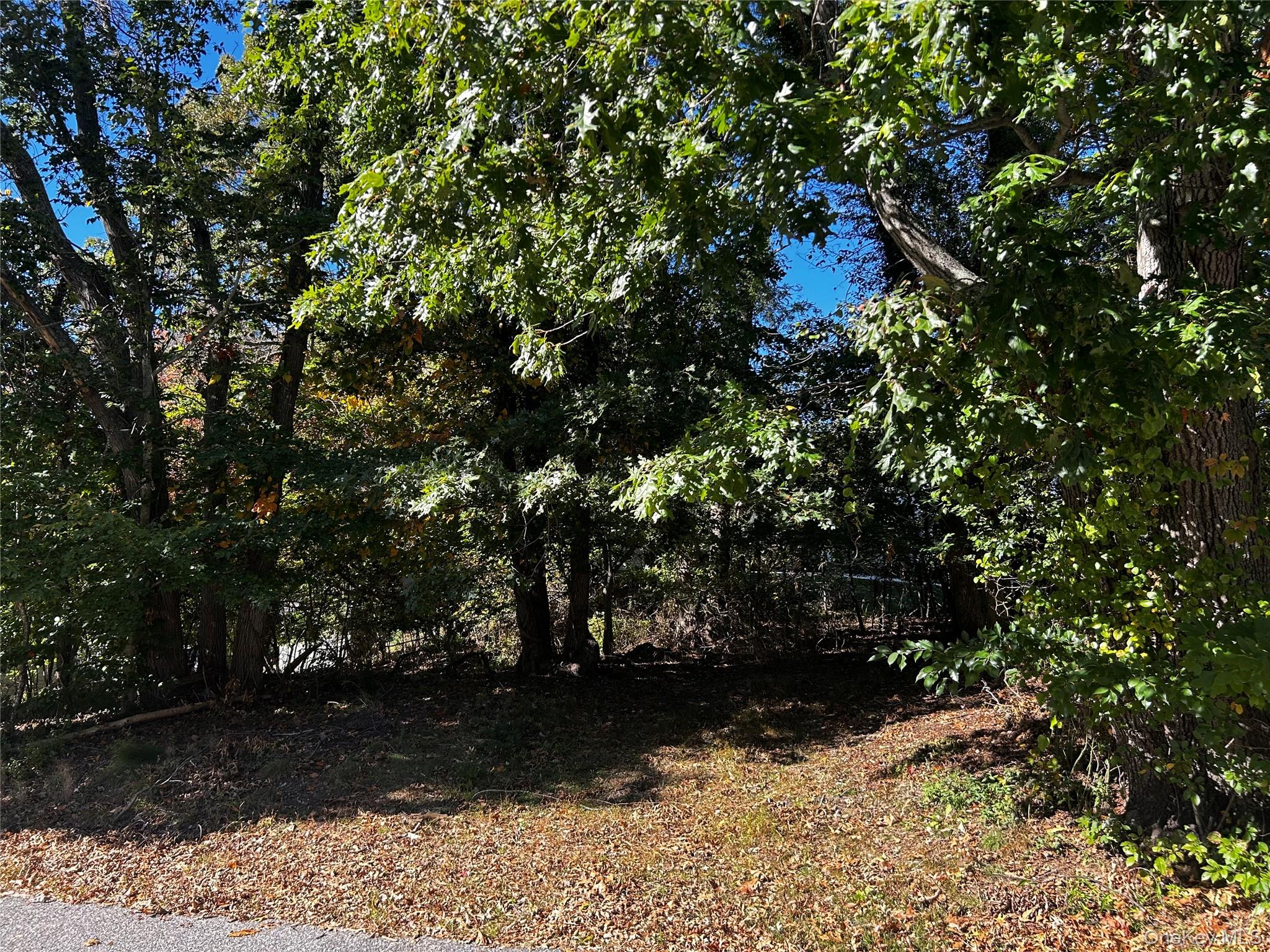 4th Street – For Sale photo 2