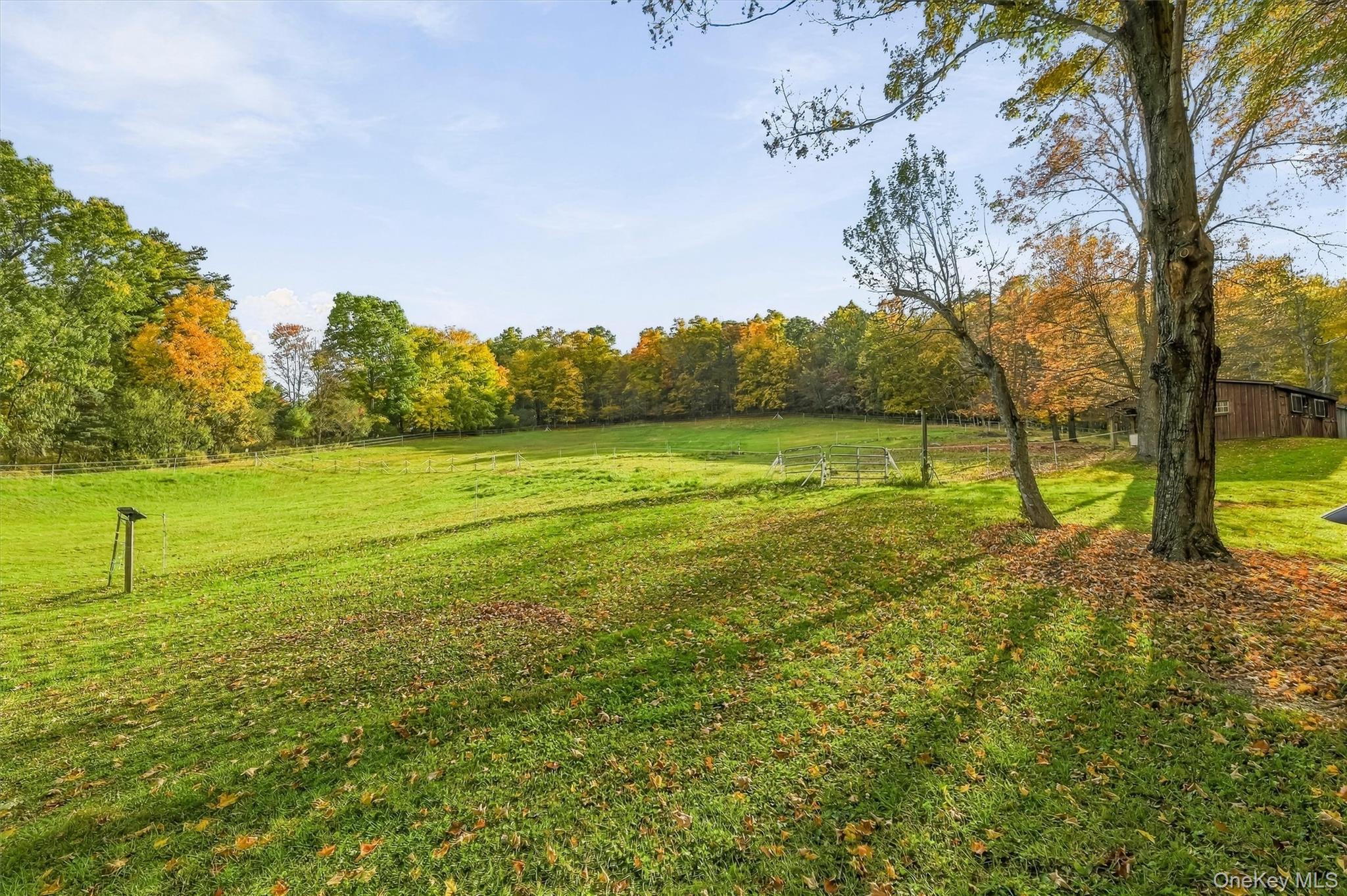 85 Foster Road – For Sale photo 35