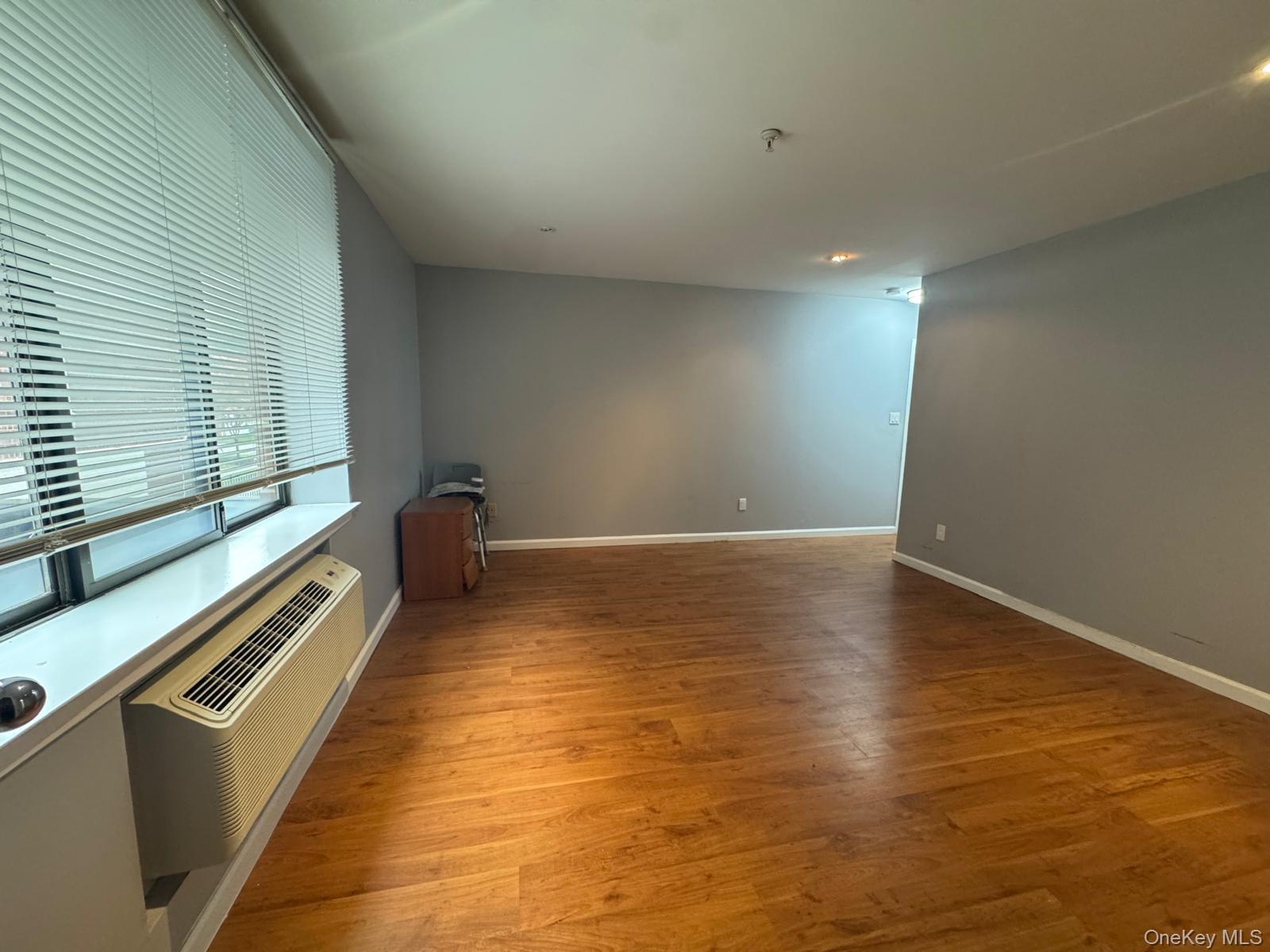 10 Canterbury Road, Unit 1 photo 23