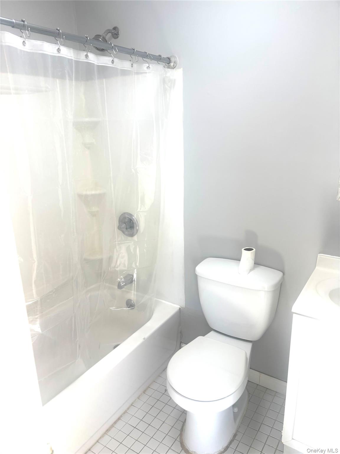 135 New Hyde Park Road – For Rent photo 3