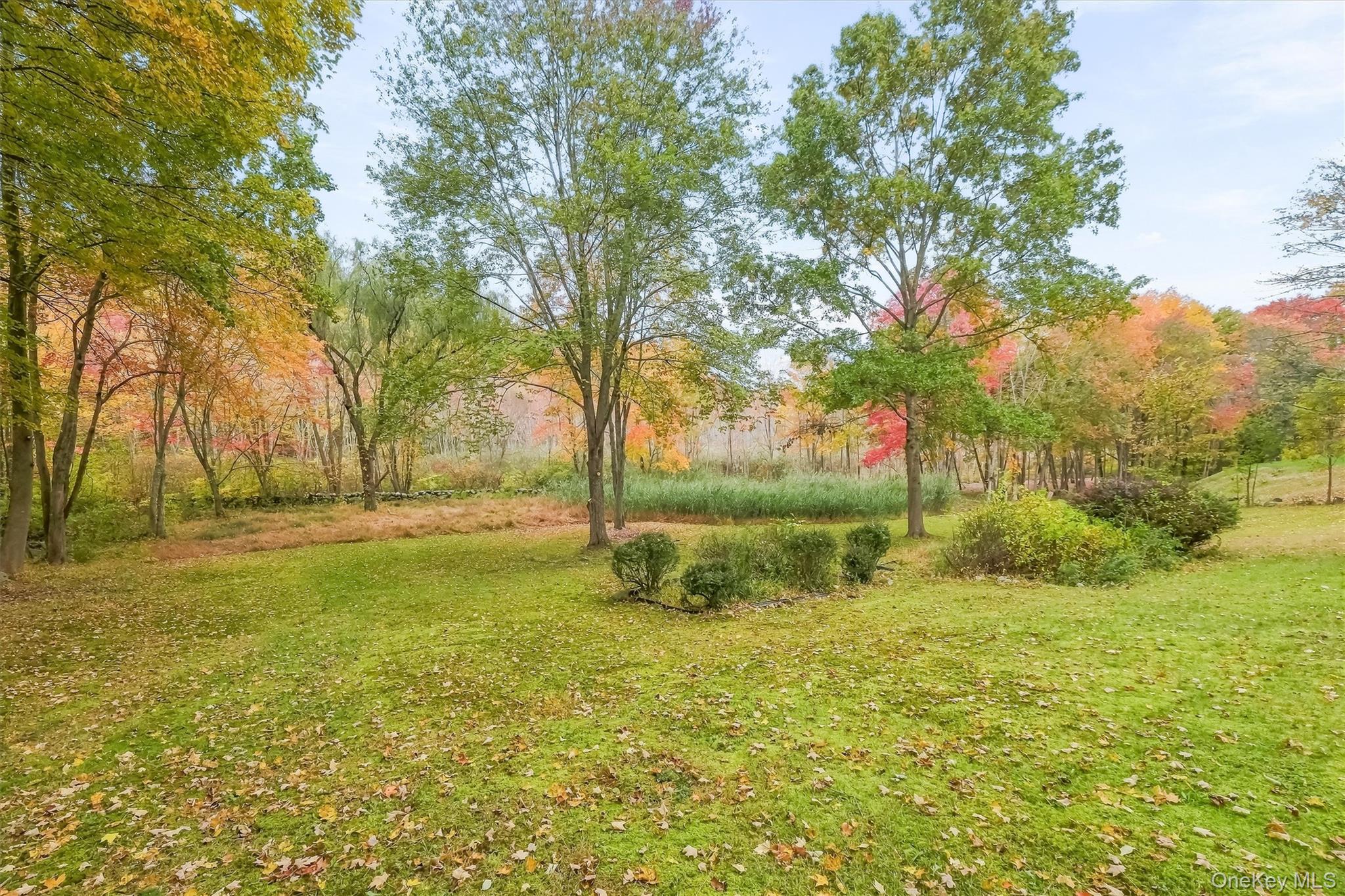 127 Croton Avenue – For Sale photo 33