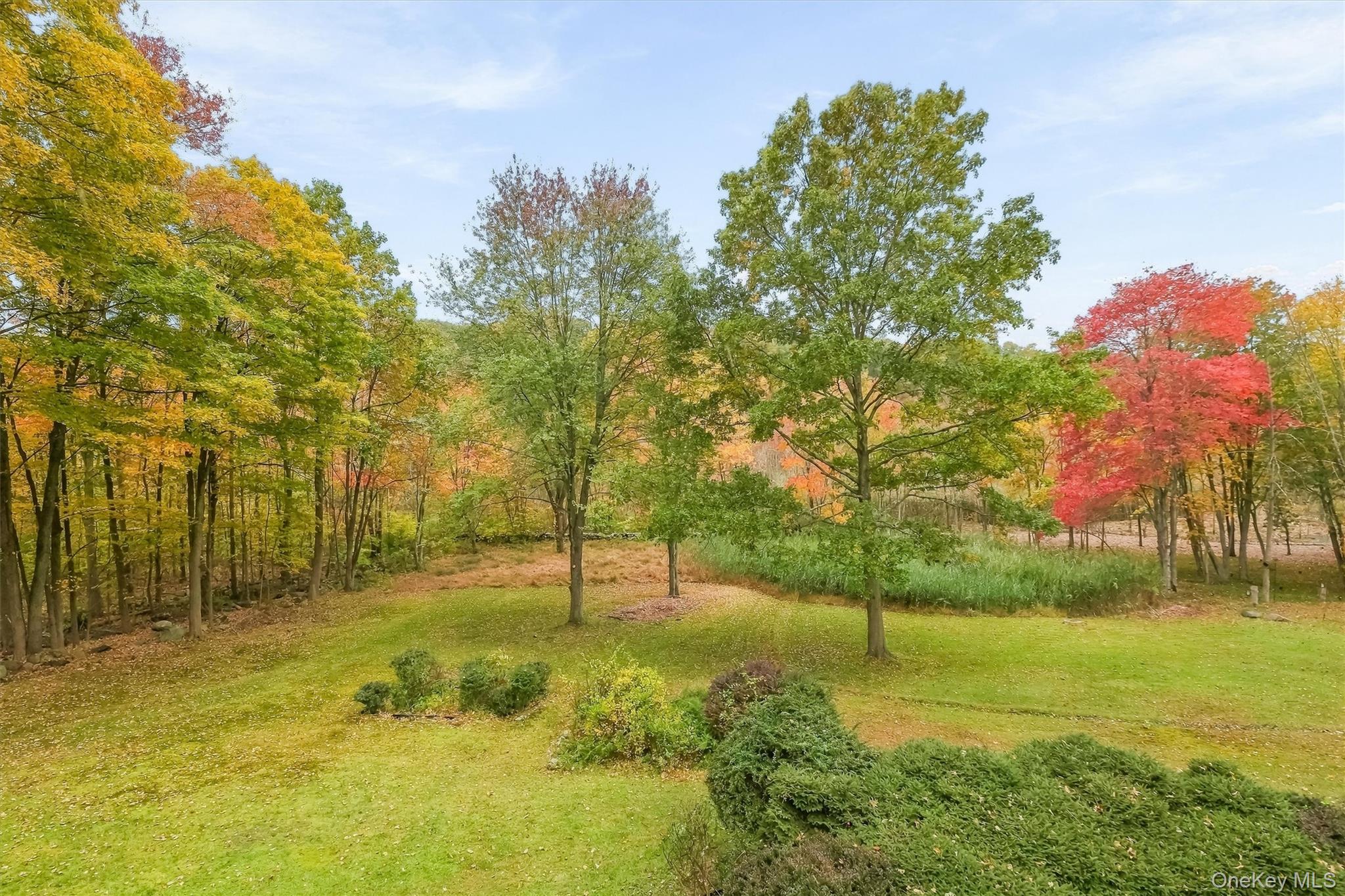 127 Croton Avenue – For Sale photo 30
