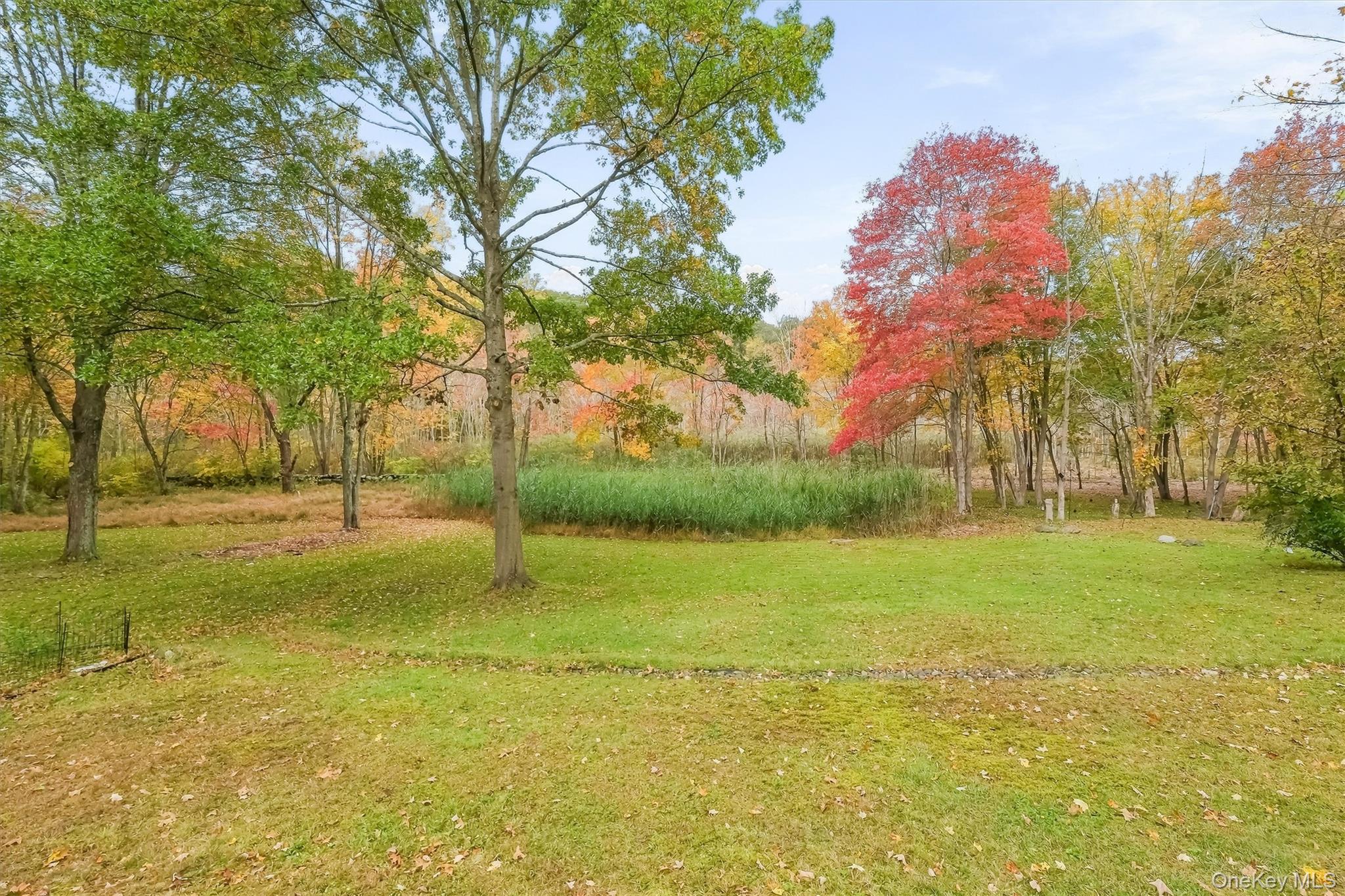 127 Croton Avenue – For Sale photo 32