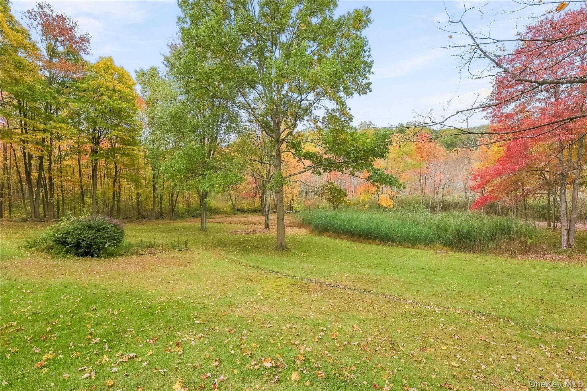 127 Croton Avenue – For Sale photo 31