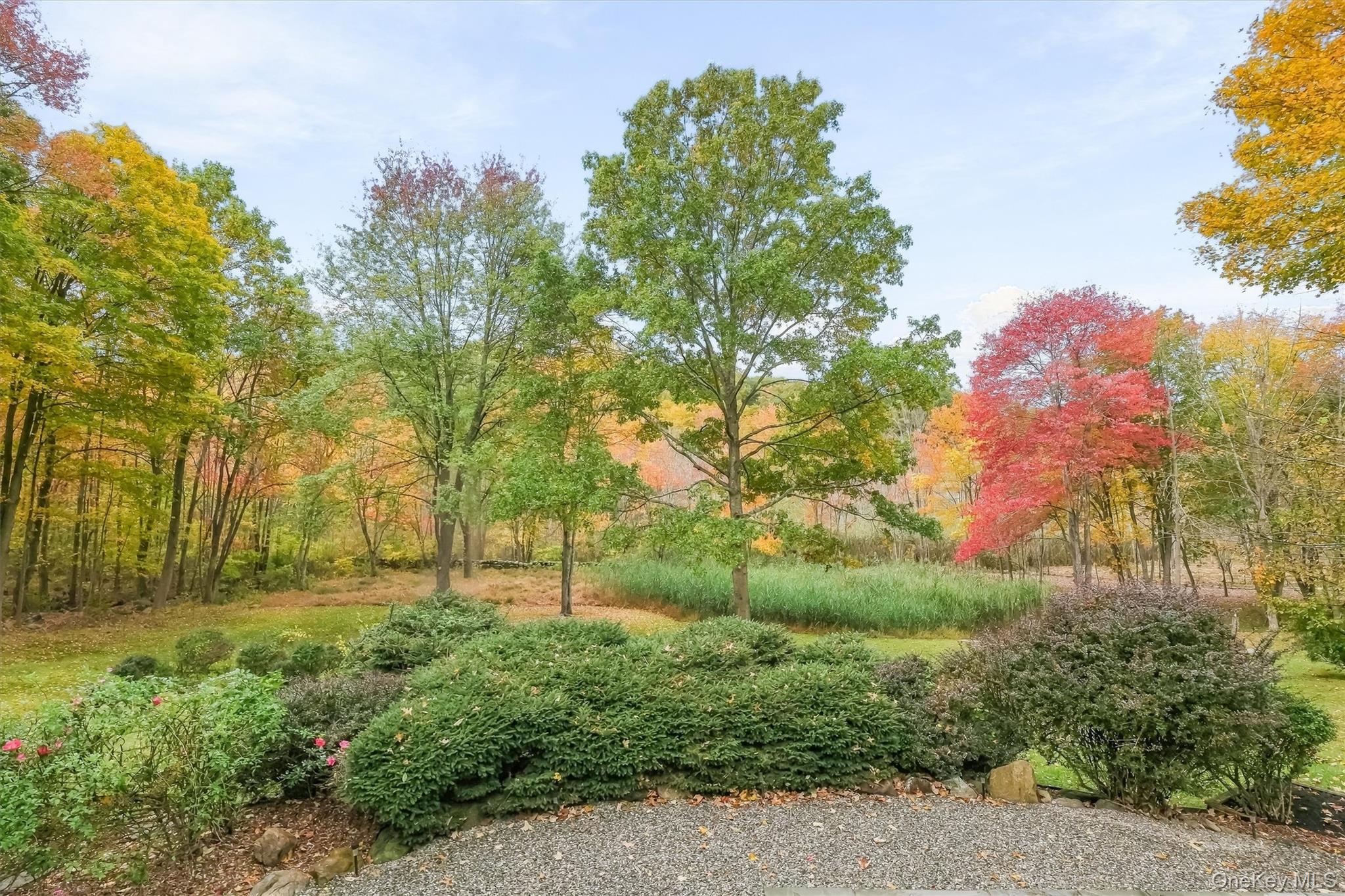 127 Croton Avenue – For Sale photo 28
