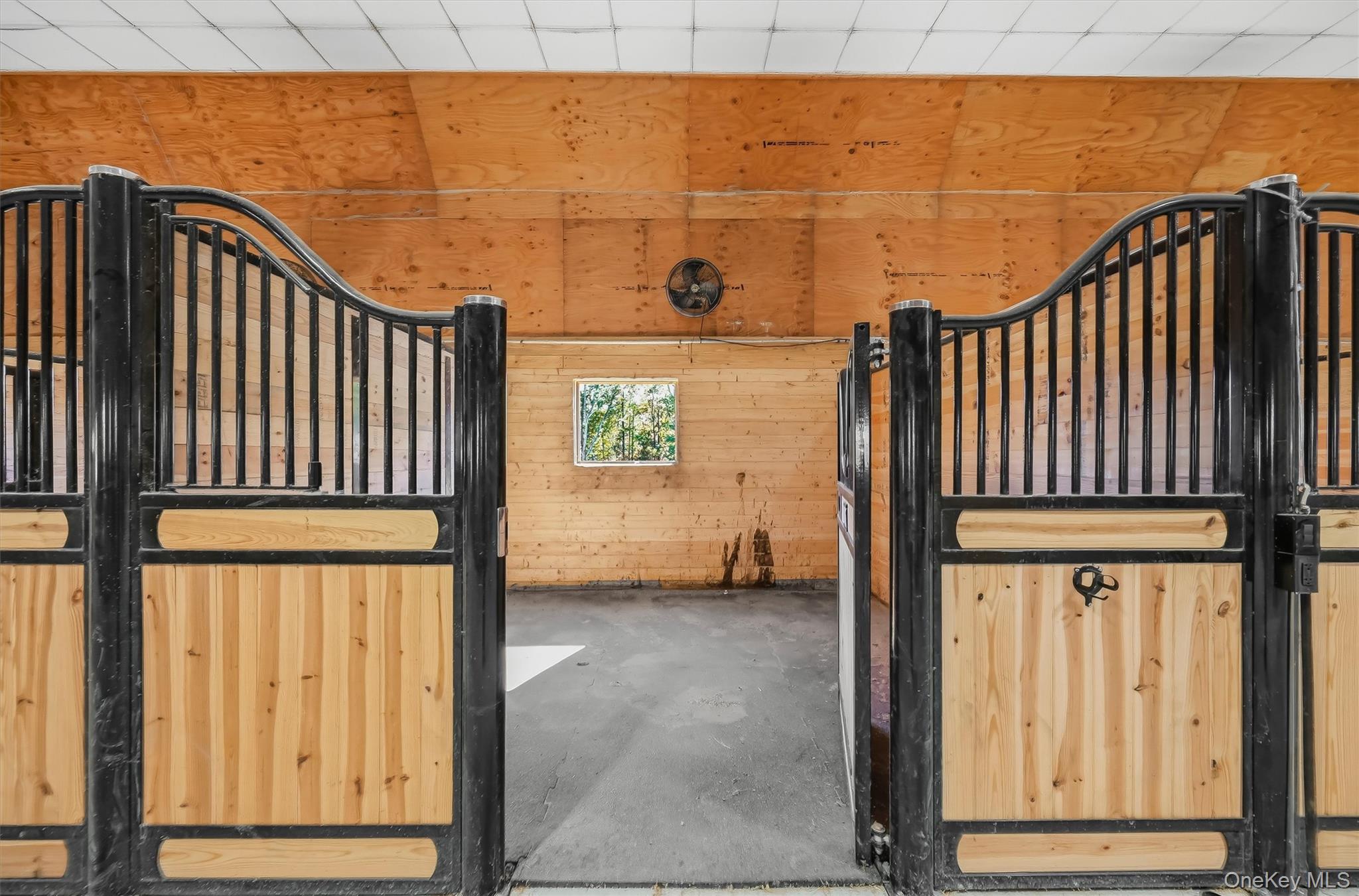 39 Everett Road – For Sale photo 39