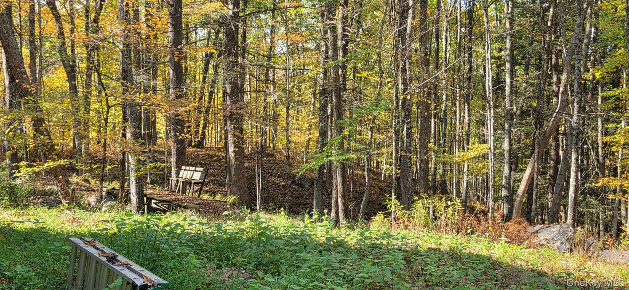 504 Cushetunk Drive – For Sale photo 35