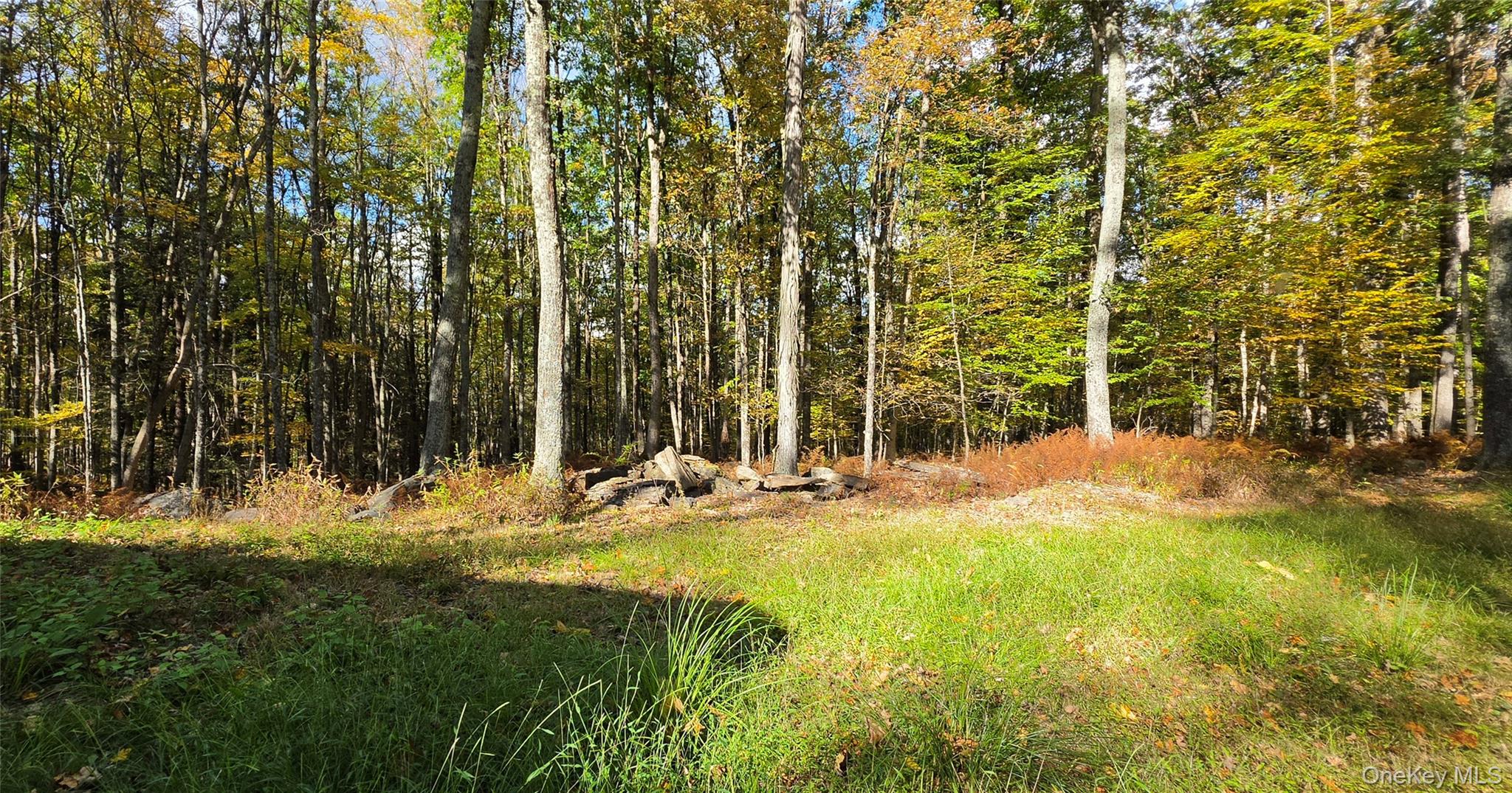 504 Cushetunk Drive – For Sale photo 33
