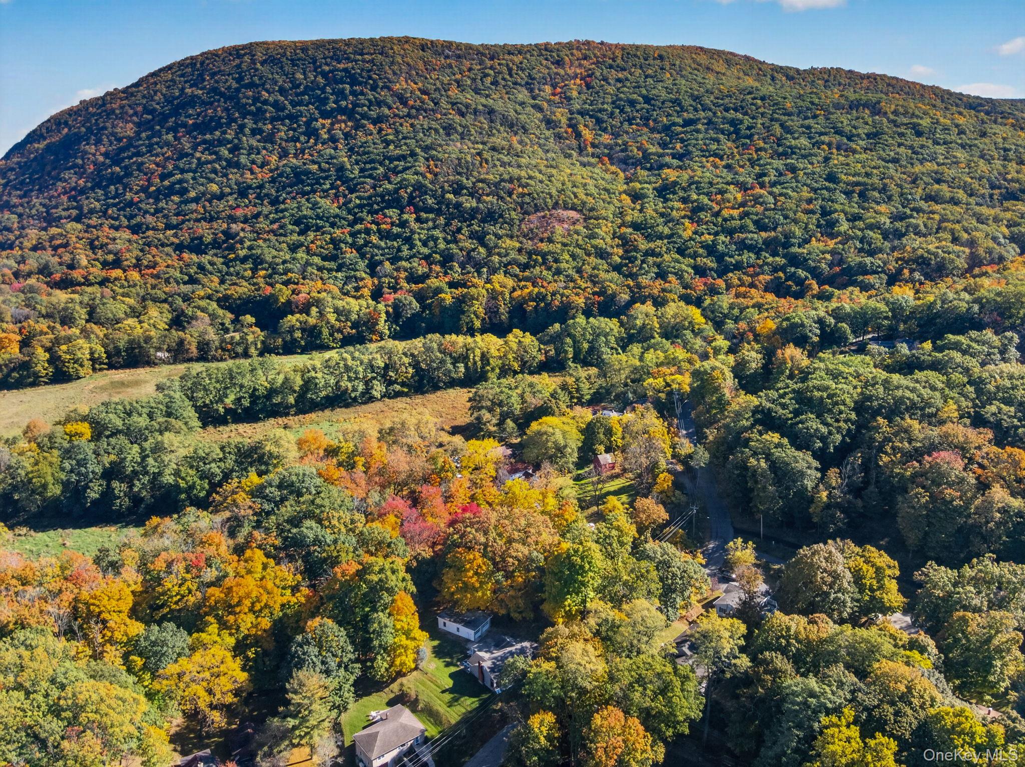 53 Mountain Road – For Sale photo 44