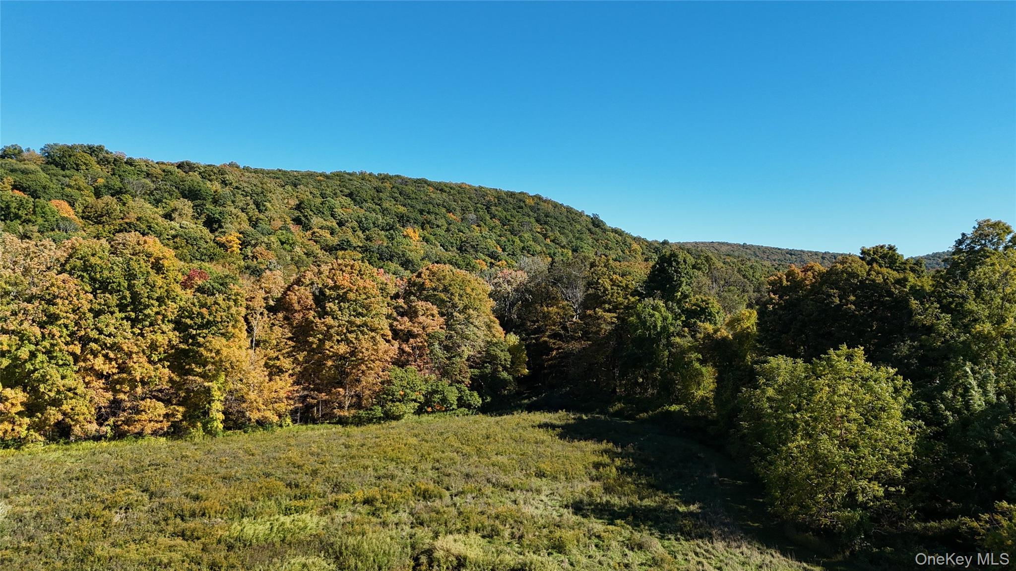 0 Pleasant Ridge Road – For Sale photo 5