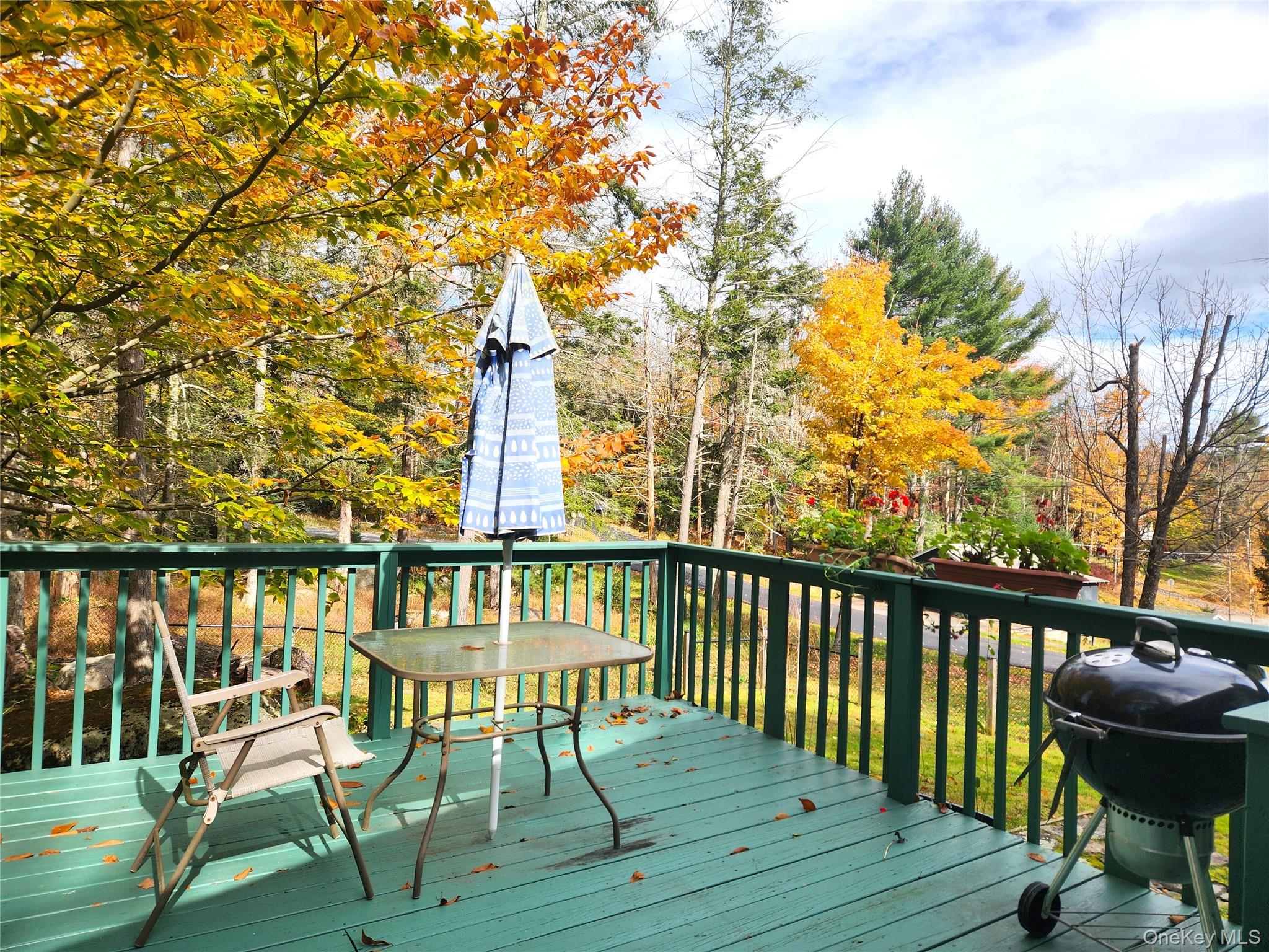 29 Mohawk Trail – For Sale photo 18