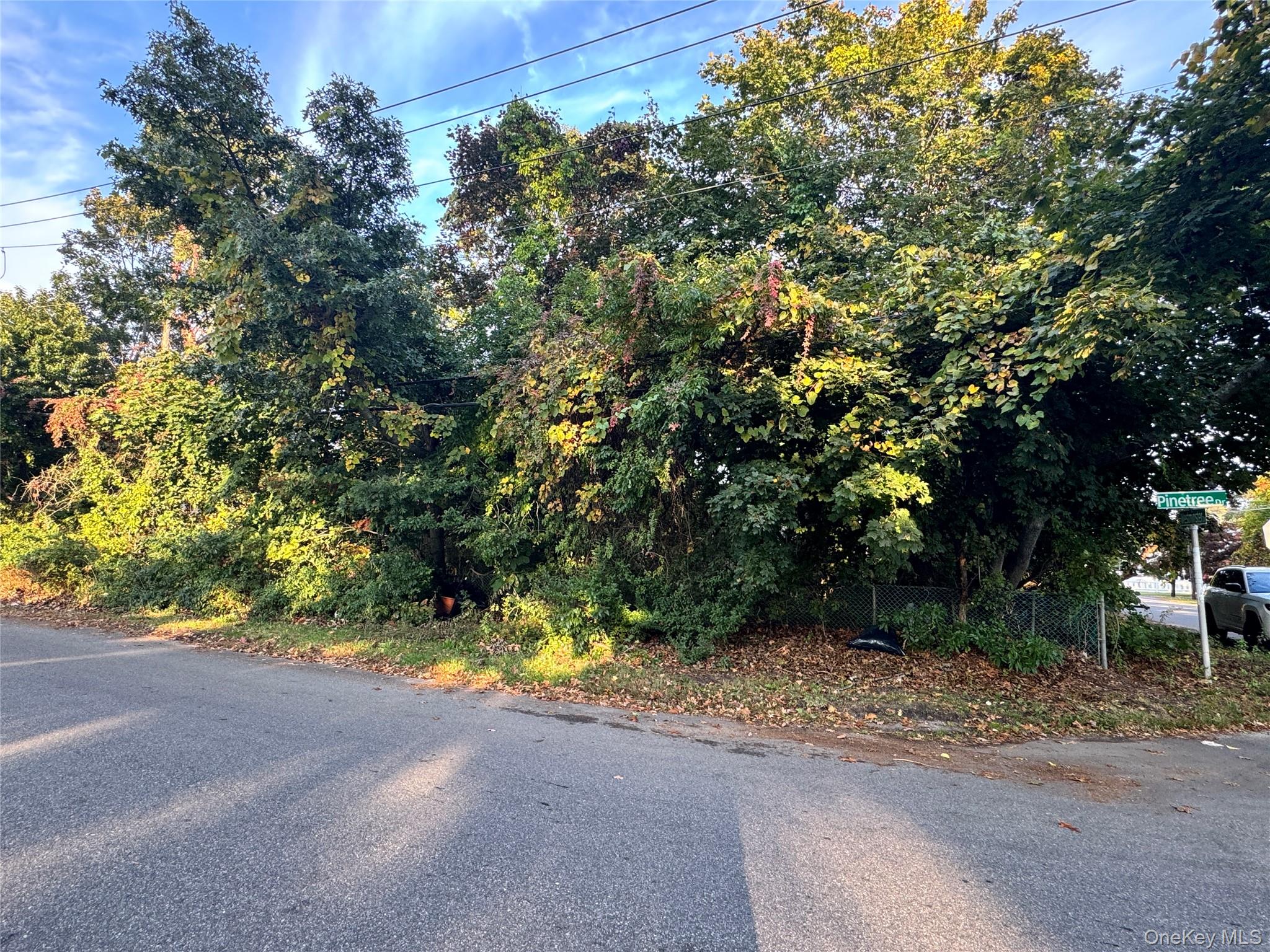 Lot #36 Westminster Drive – For Sale photo 2