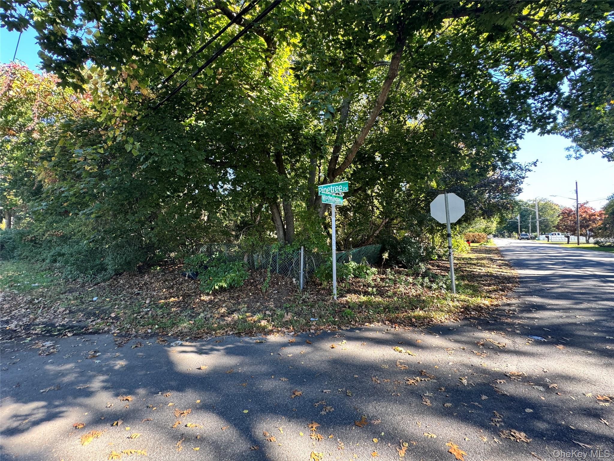 Lot #36 Westminster Drive – For Sale photo 4