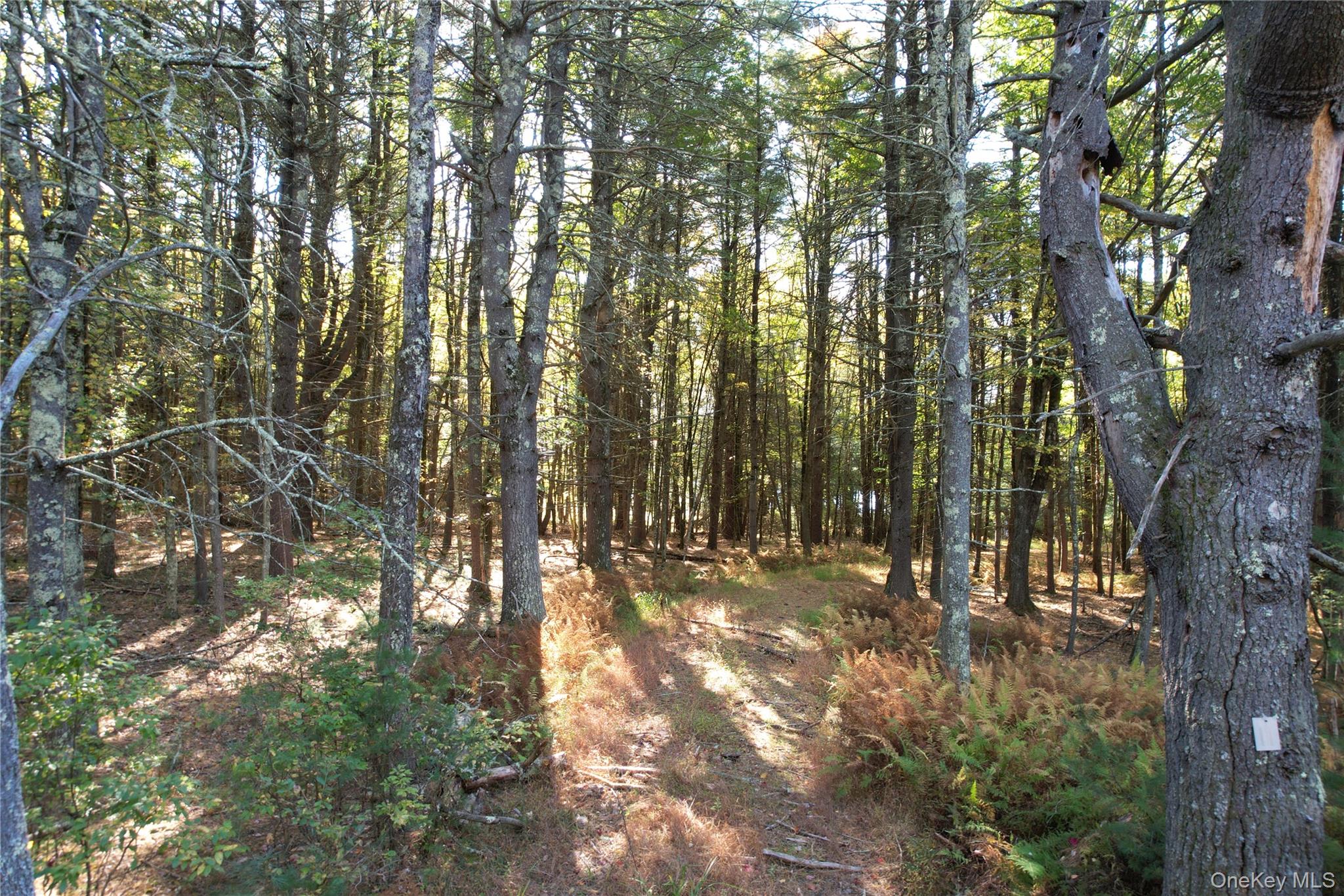 Lot 11 Deer Meadow Road – For Sale photo 16