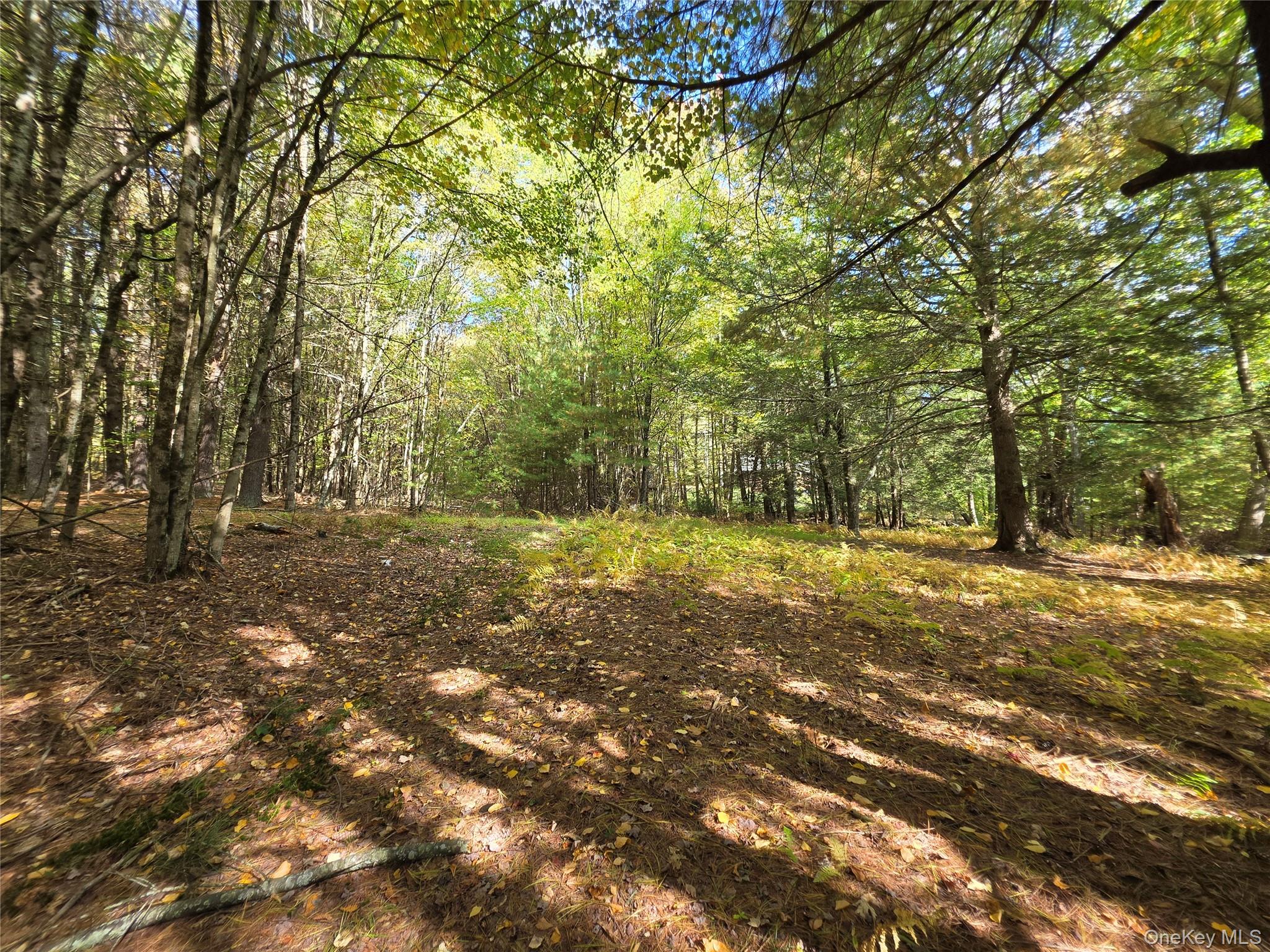 Lot 11 Deer Meadow Road – For Sale photo 33