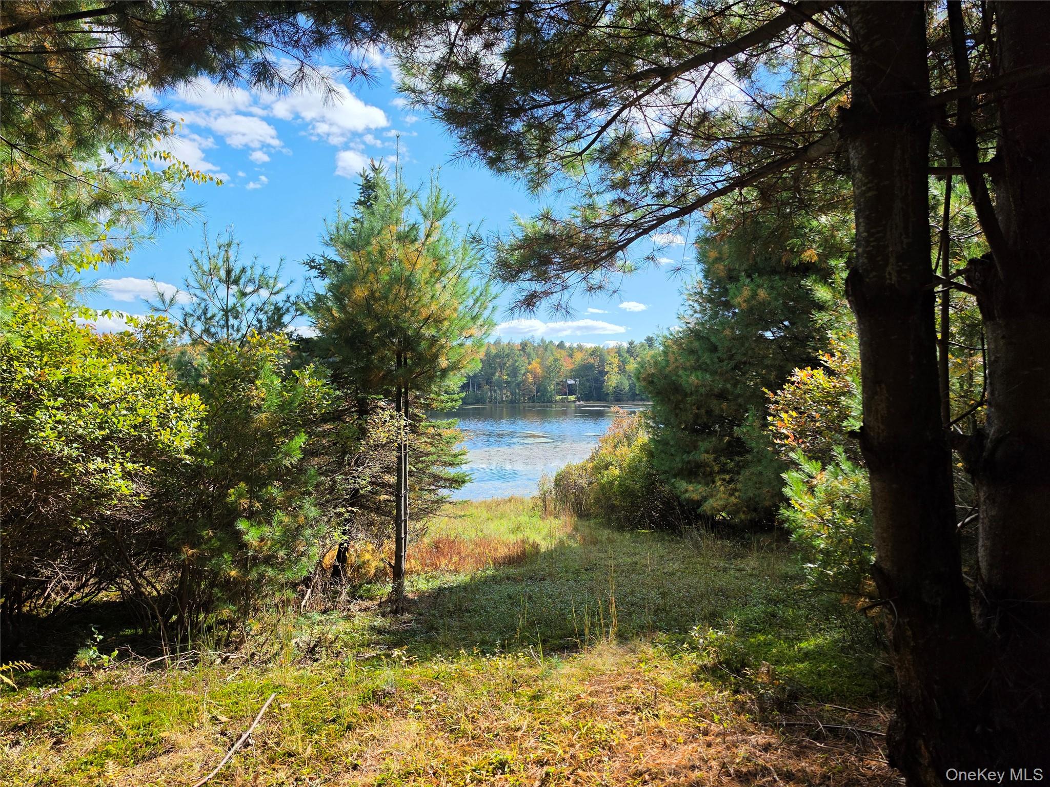 Lot 11 Deer Meadow Road – For Sale photo 5
