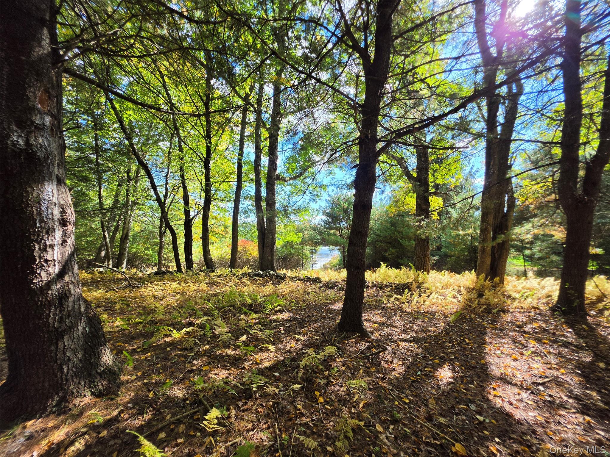Lot 11 Deer Meadow Road – For Sale photo 30