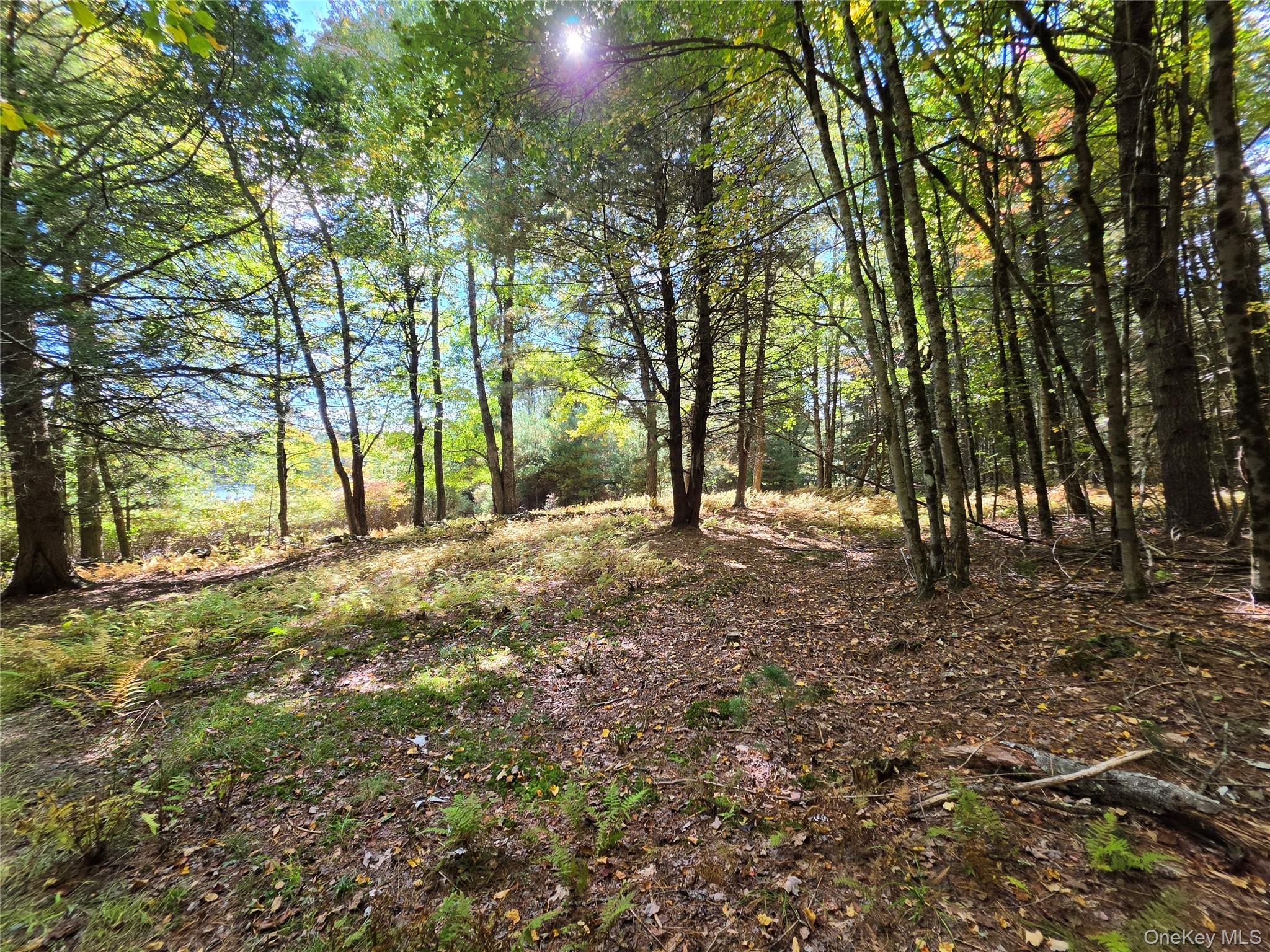 Lot 11 Deer Meadow Road – For Sale photo 25