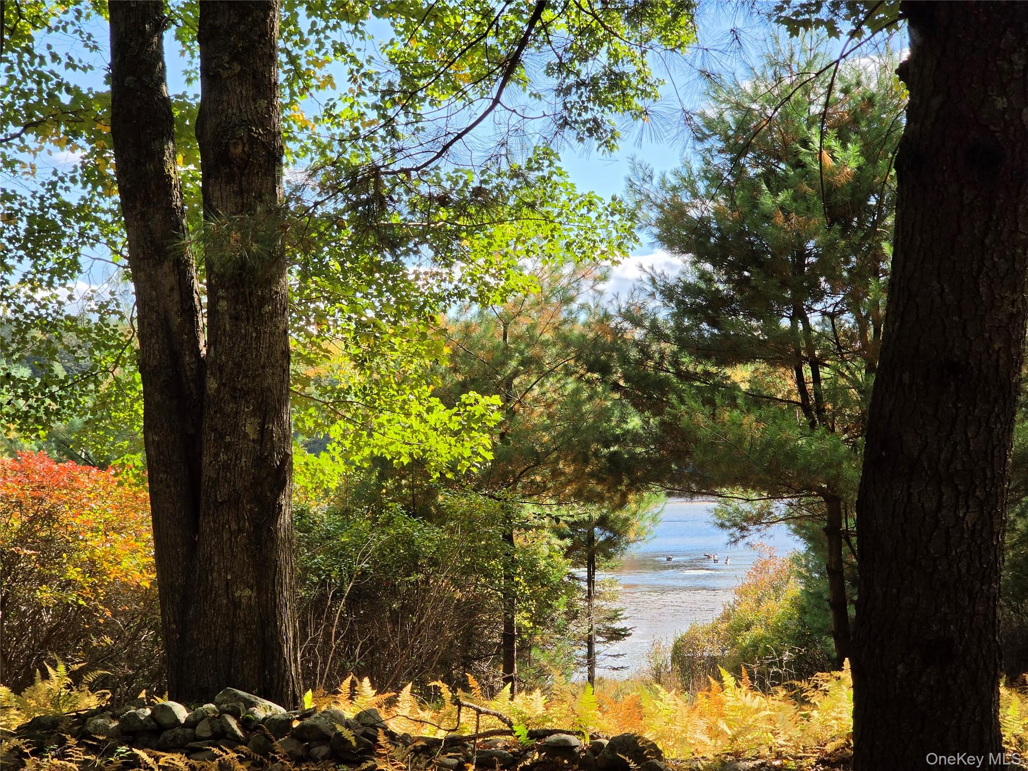 Lot 11 Deer Meadow Road – For Sale photo 32