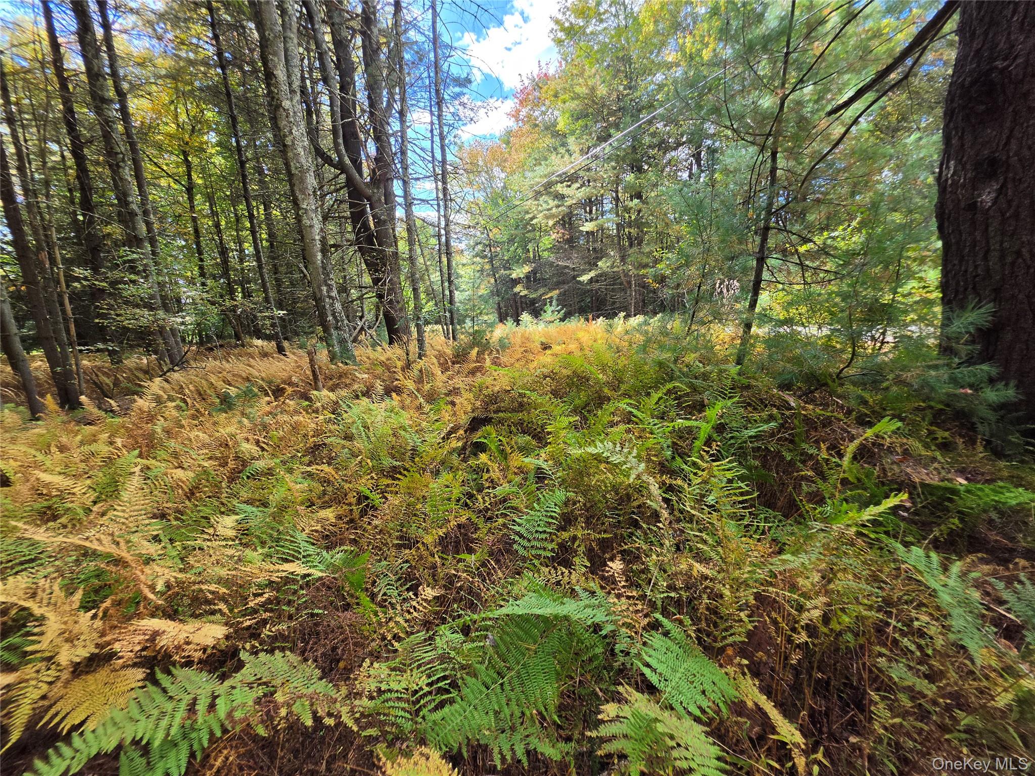 Lot 11 Deer Meadow Road – For Sale photo 39