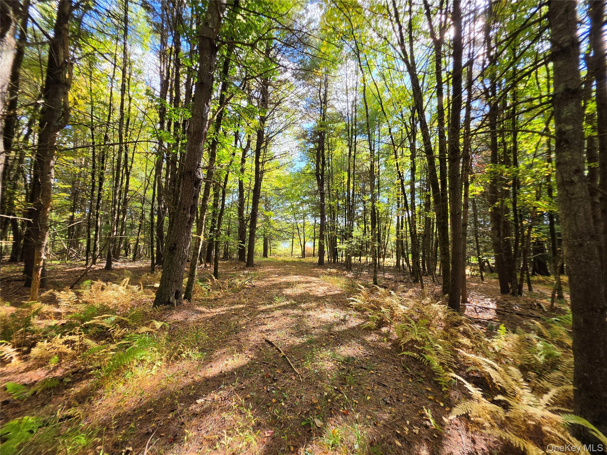 Lot 11 Deer Meadow Road – For Sale photo 36